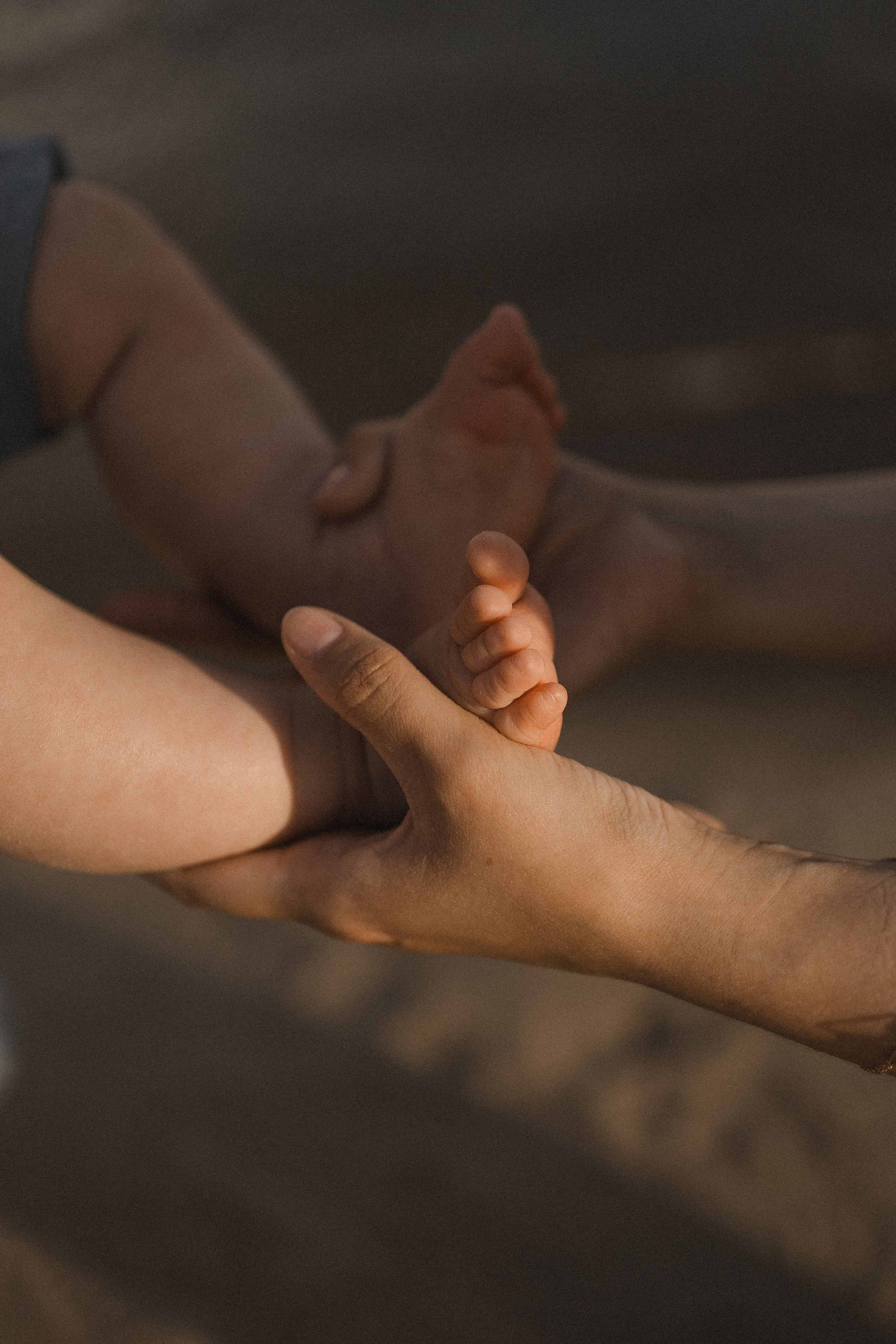 Семейные. Главная