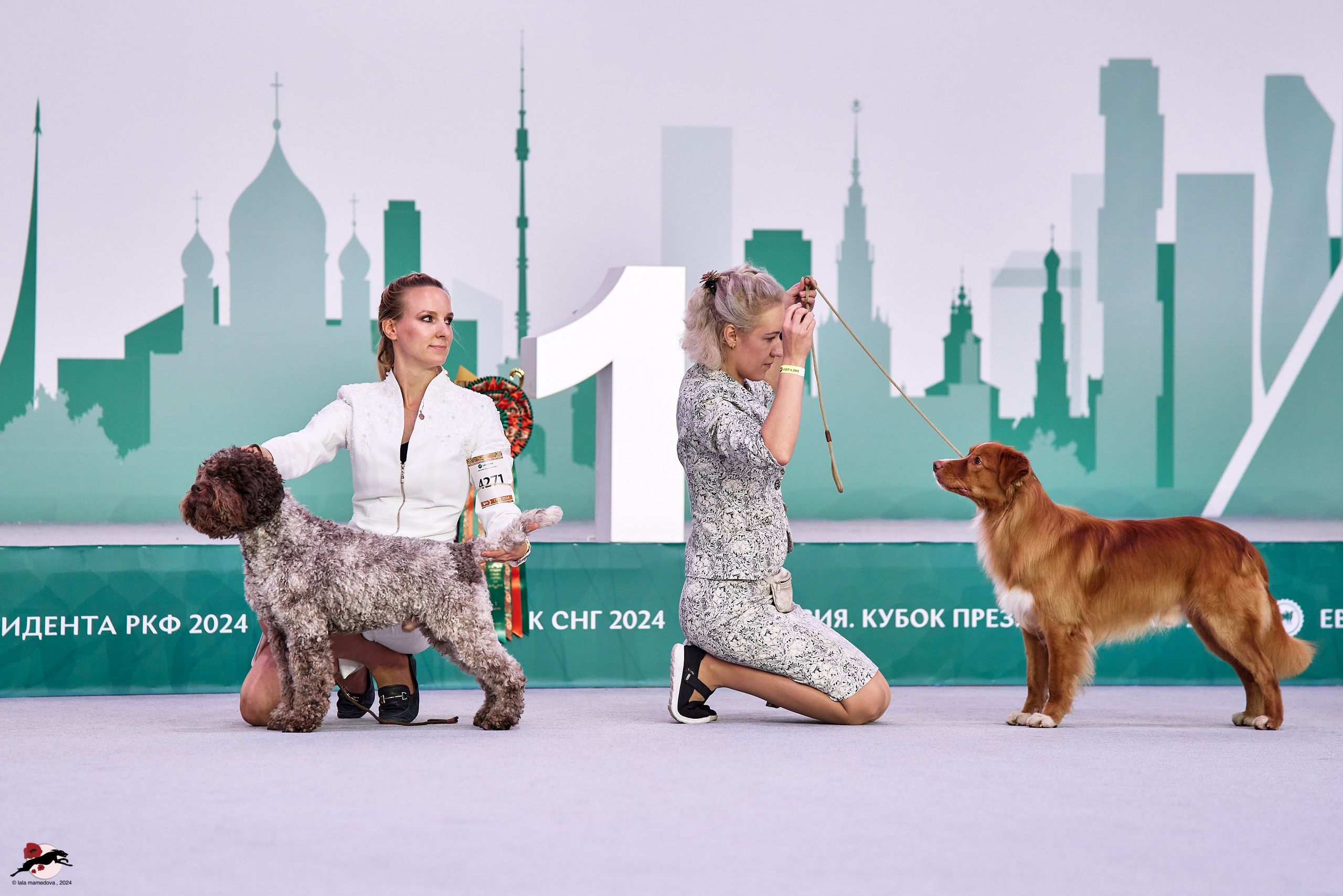 17.11.2024 «ЕВРАЗИЯ. КУБОК СНГ 2024»