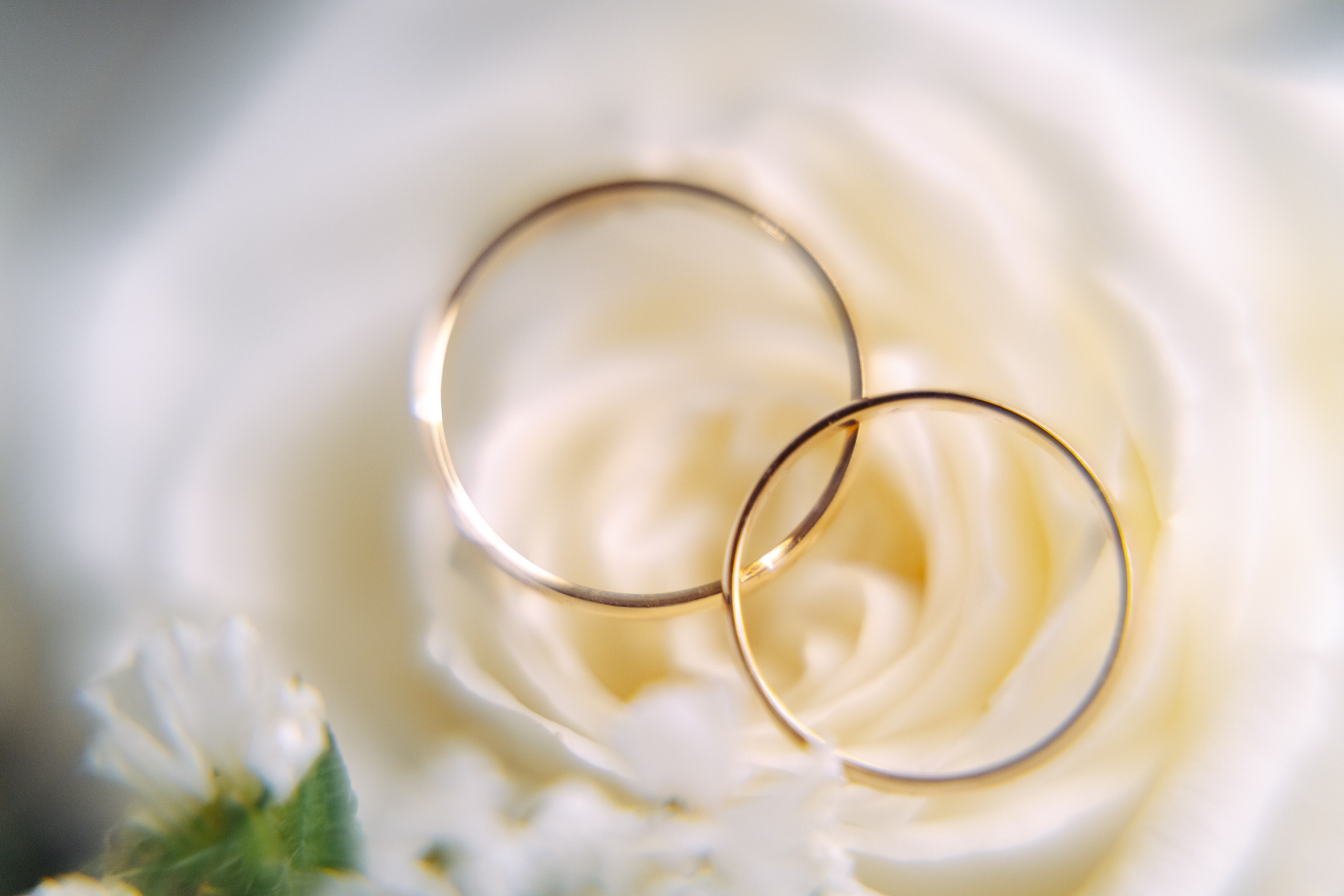 Даниил + Алина