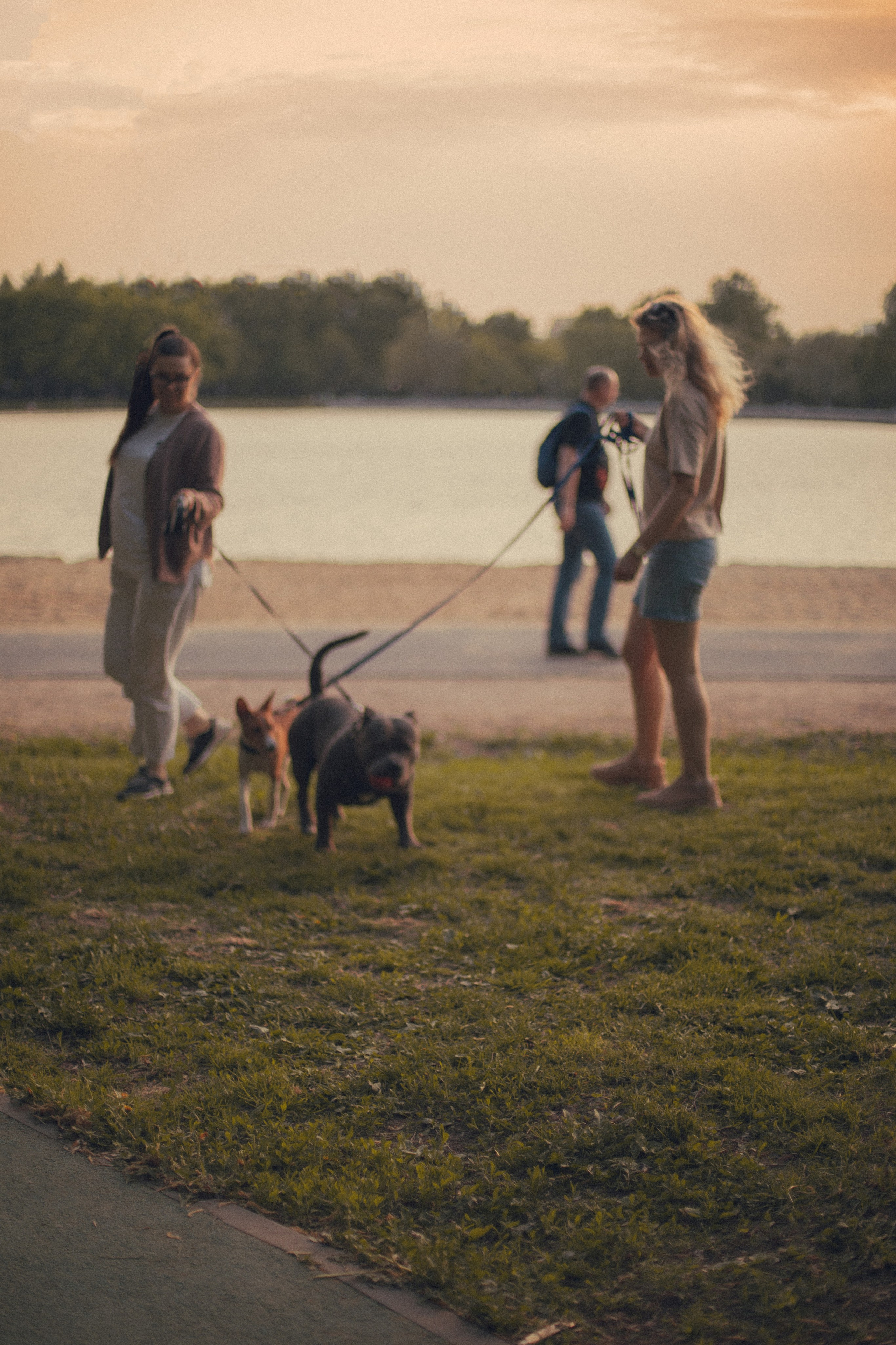 Фотосессия с питомцем. Бьюти- и портретный фотограф в Москве Полли Максимова. Создаю съёмки и делаю ретушь для брендов косметики и рекламы