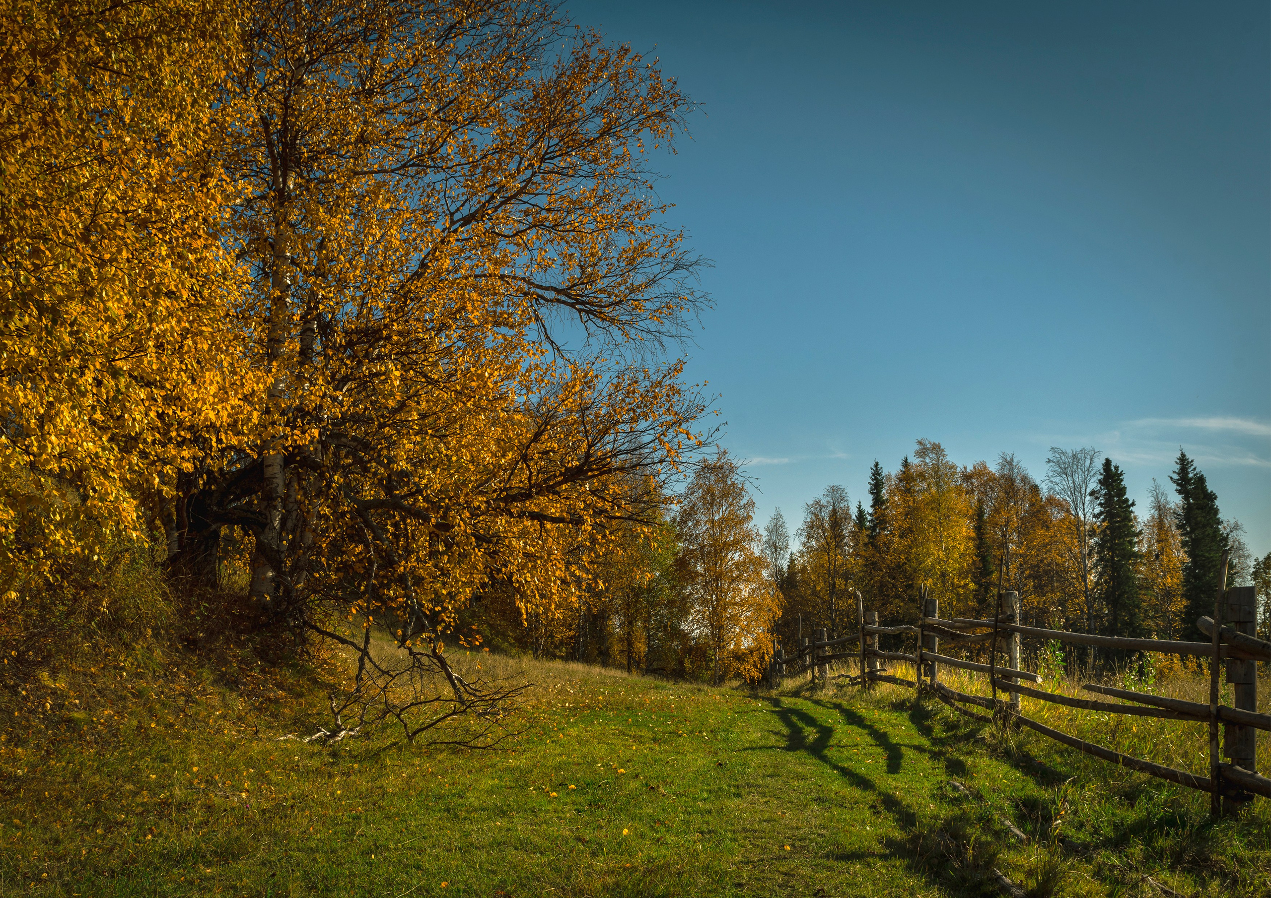 Осень. Фотограф в с. Ижма Республика Коми Терентьев Сергей