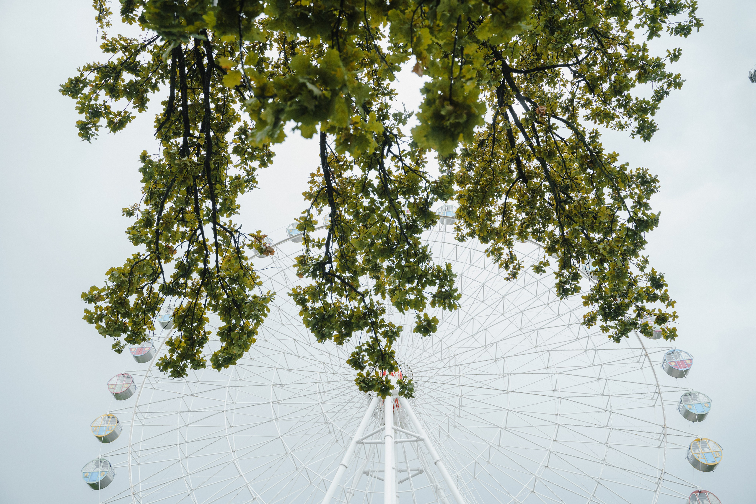 Денис и Диана. Главная