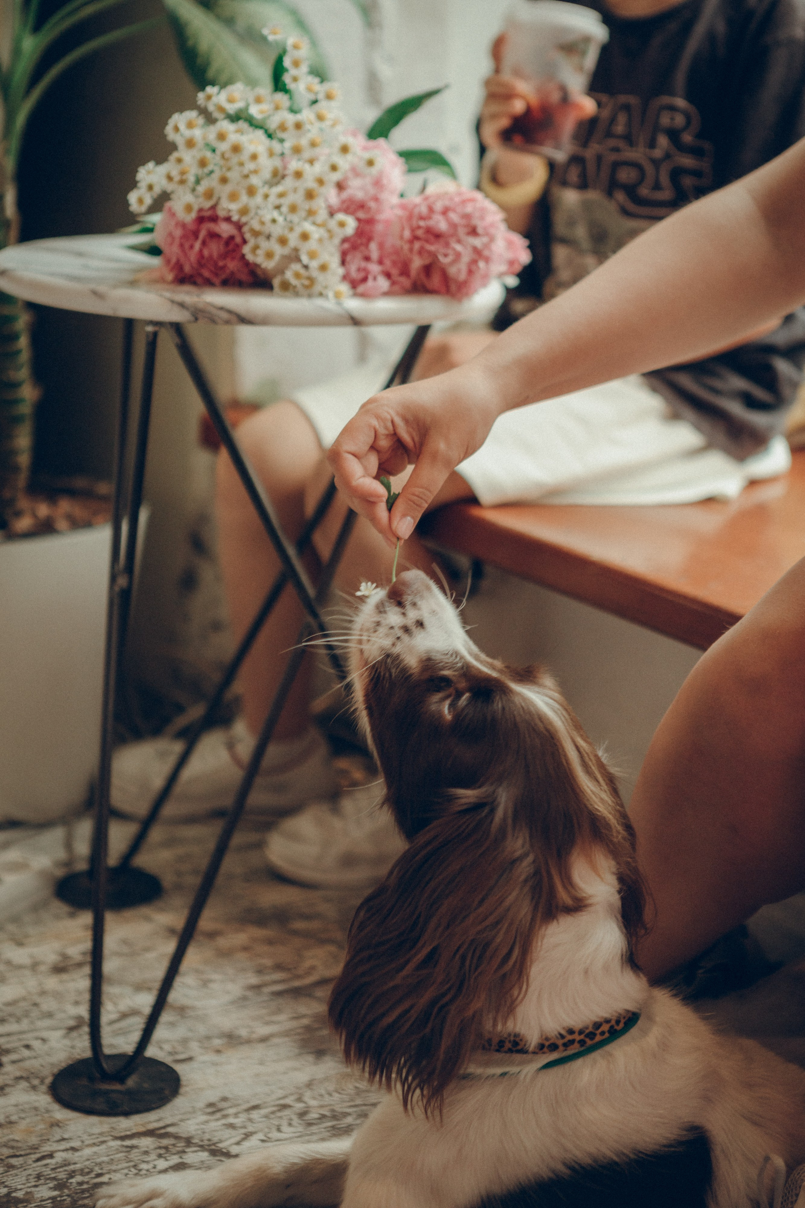 Family moment. Семейный фотограф и фотограф на роды в Ростове-на-Дону Мухина Виктория