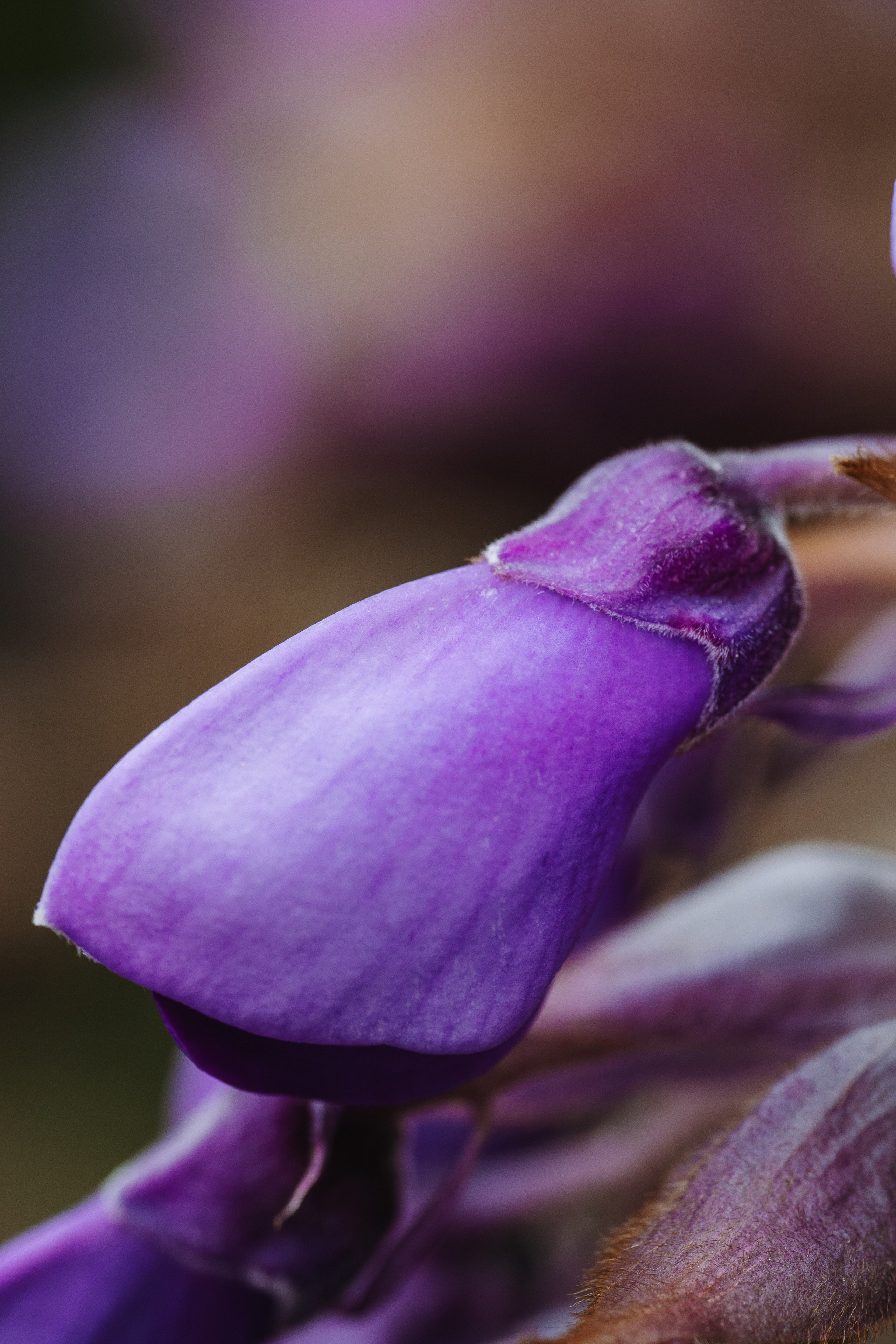 Macro. Фотограф на Юге России