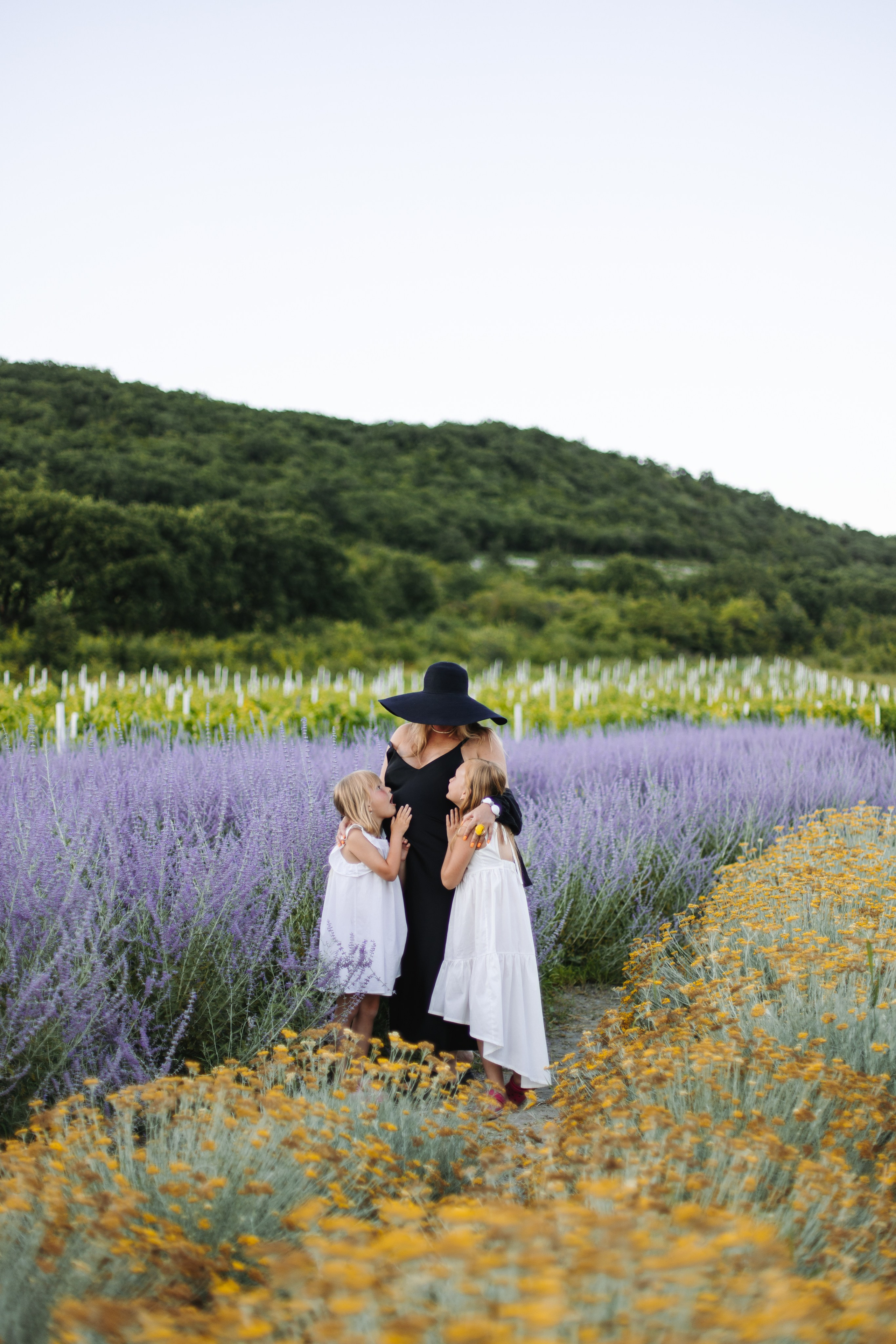 Maison Des Plantes. Фотограф на Юге России
