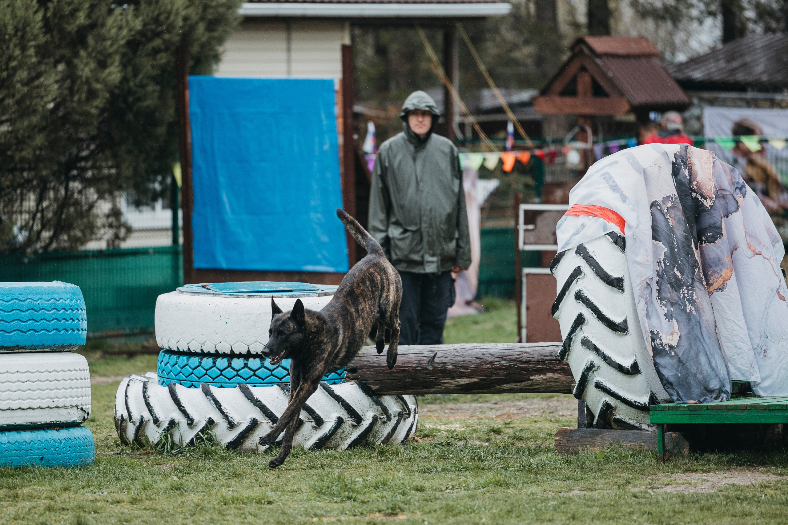 Геленджик Мондьоринг. Фотограф-анималист Анна Маринич