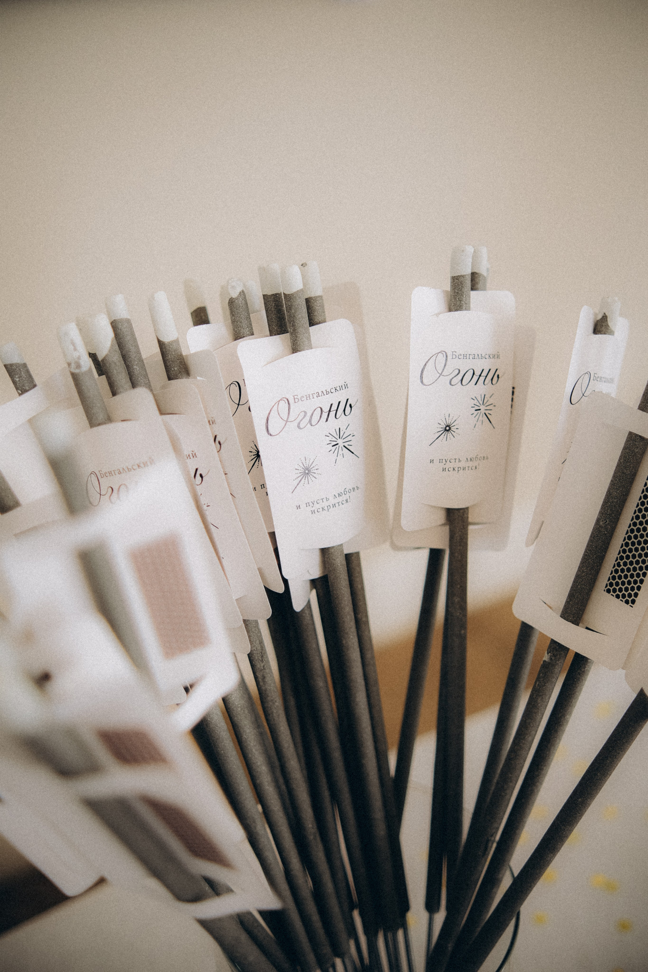 Рида & Богдан. Пушкин. Phdkvmr.ru