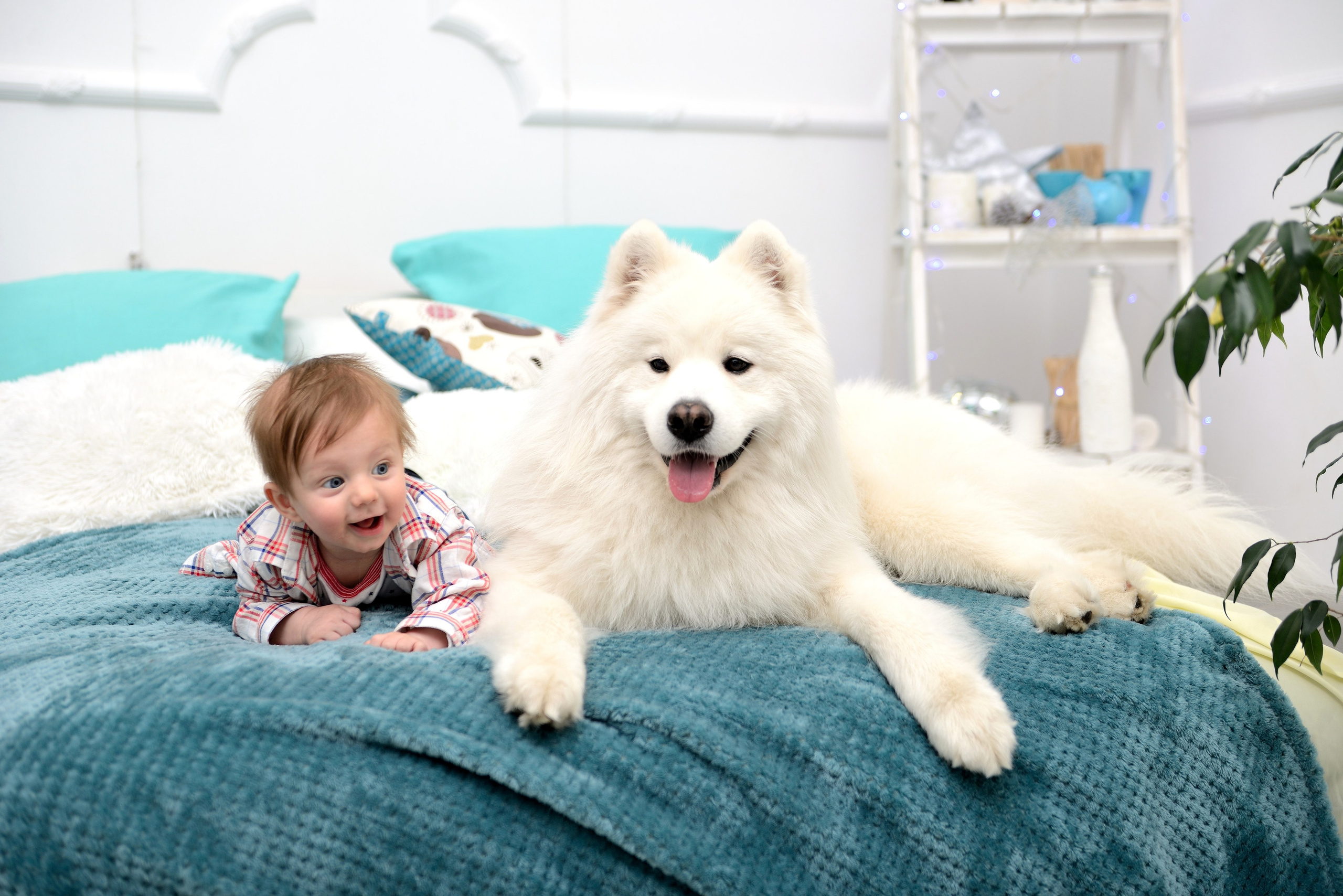 Студийные съемки. Выпускные альбомы в Москве. Фотограф Анна Вакор