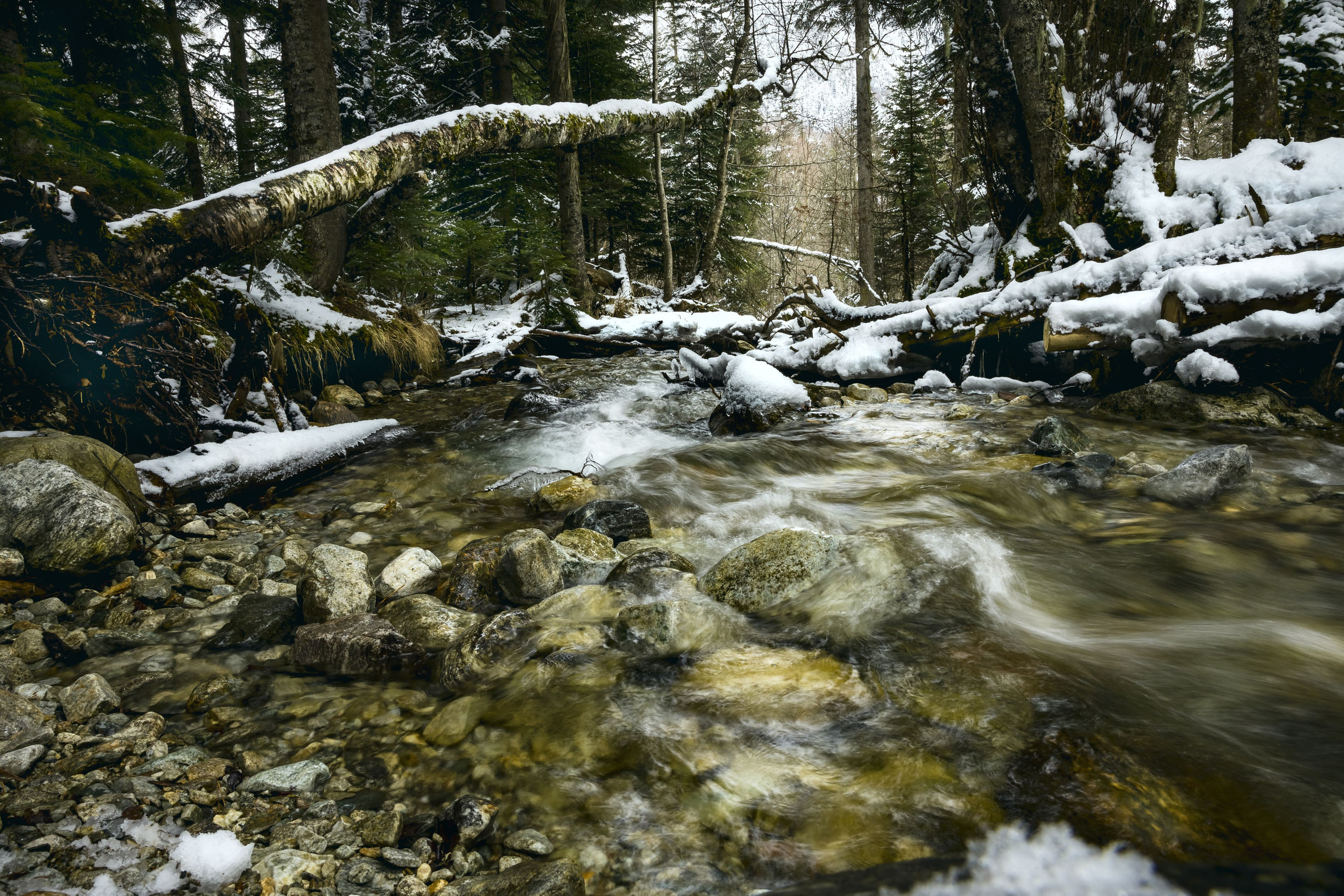 Северный Кавказ. Fotovat