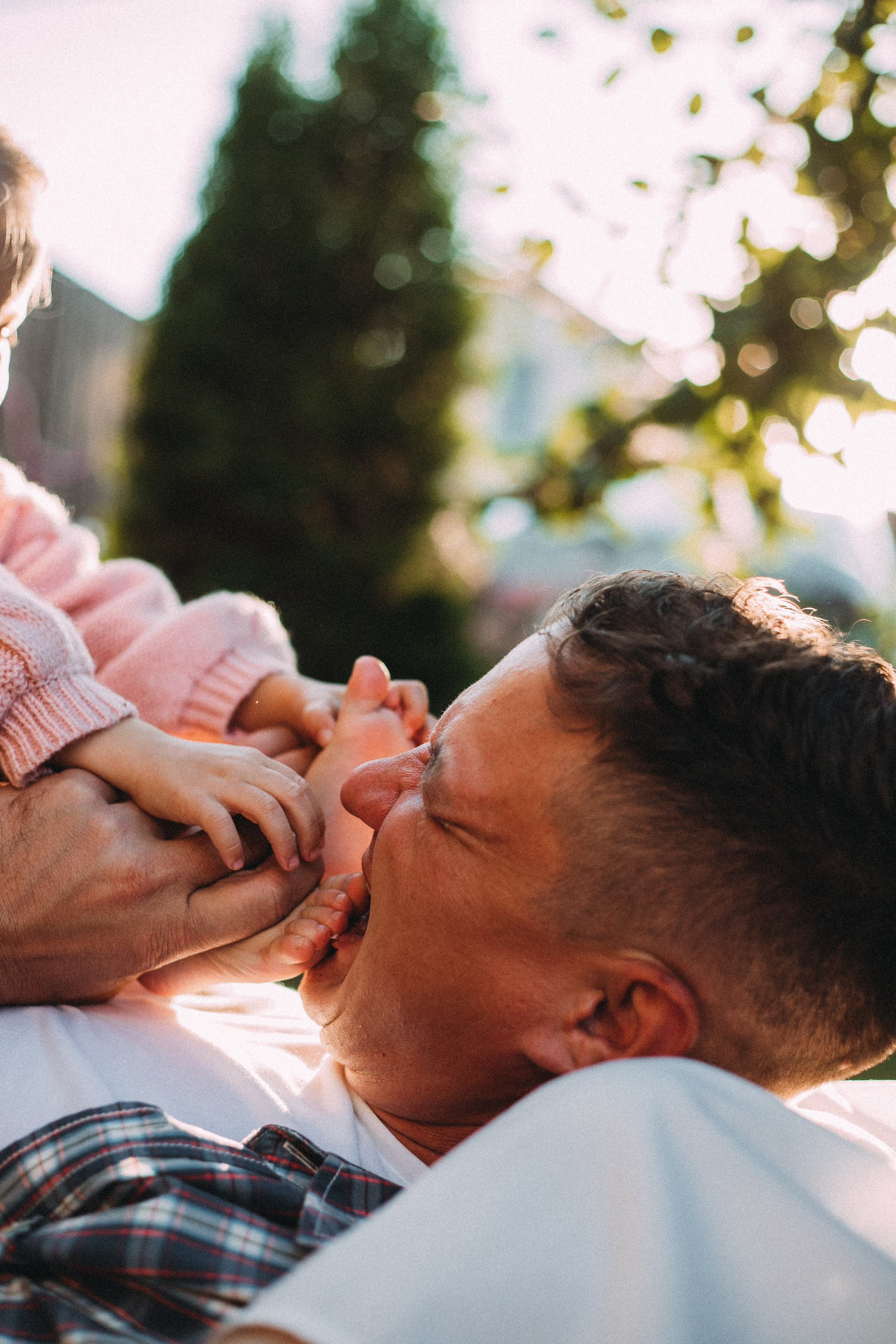 Дача. Главная