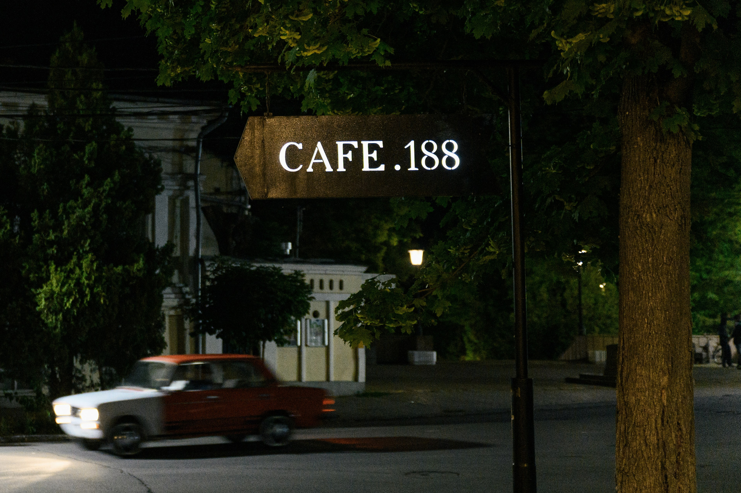 Саша и Лиза. Свадебный фотограф и видеограф