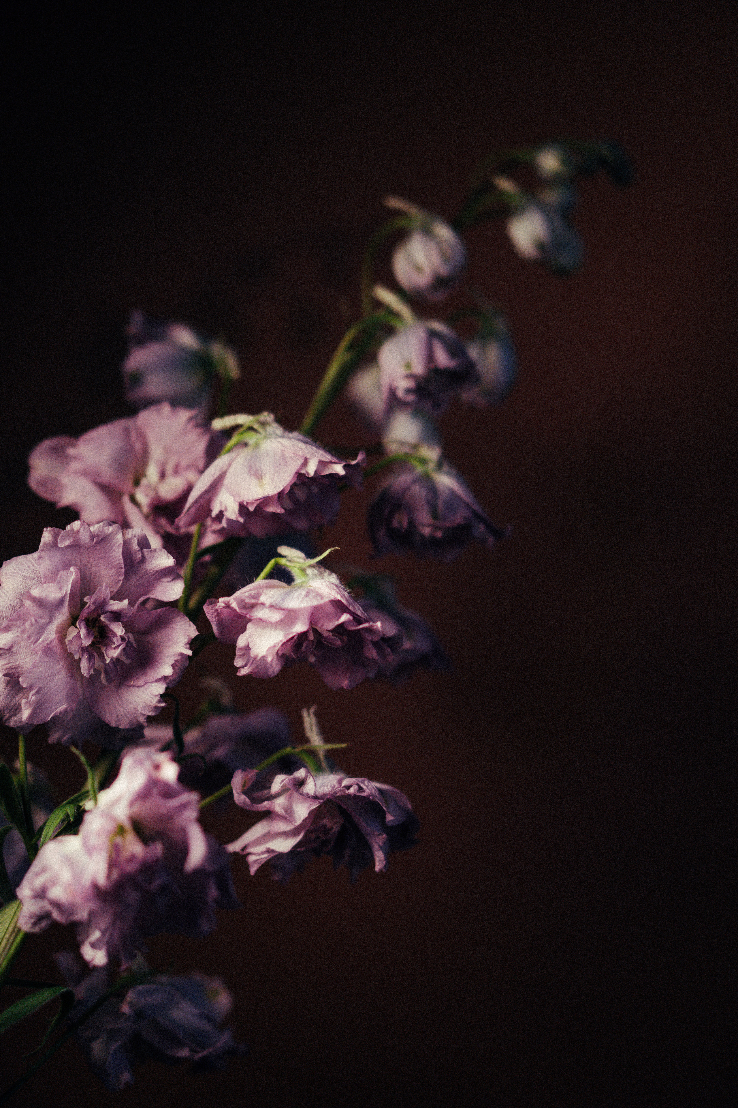 Таня. Фотограф в Санкт-Петербурге Лилия Каурова