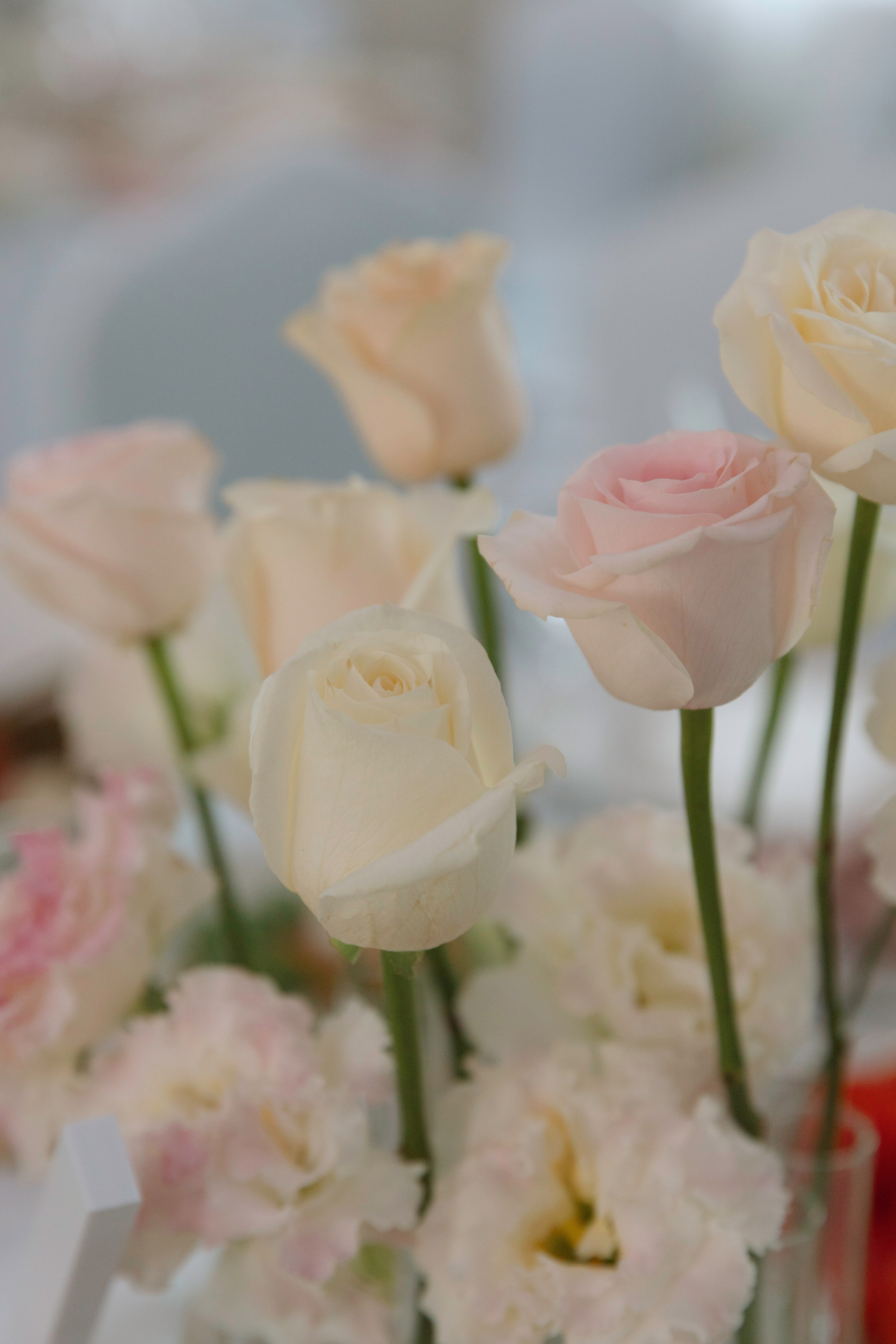 Тимофей и Олеся