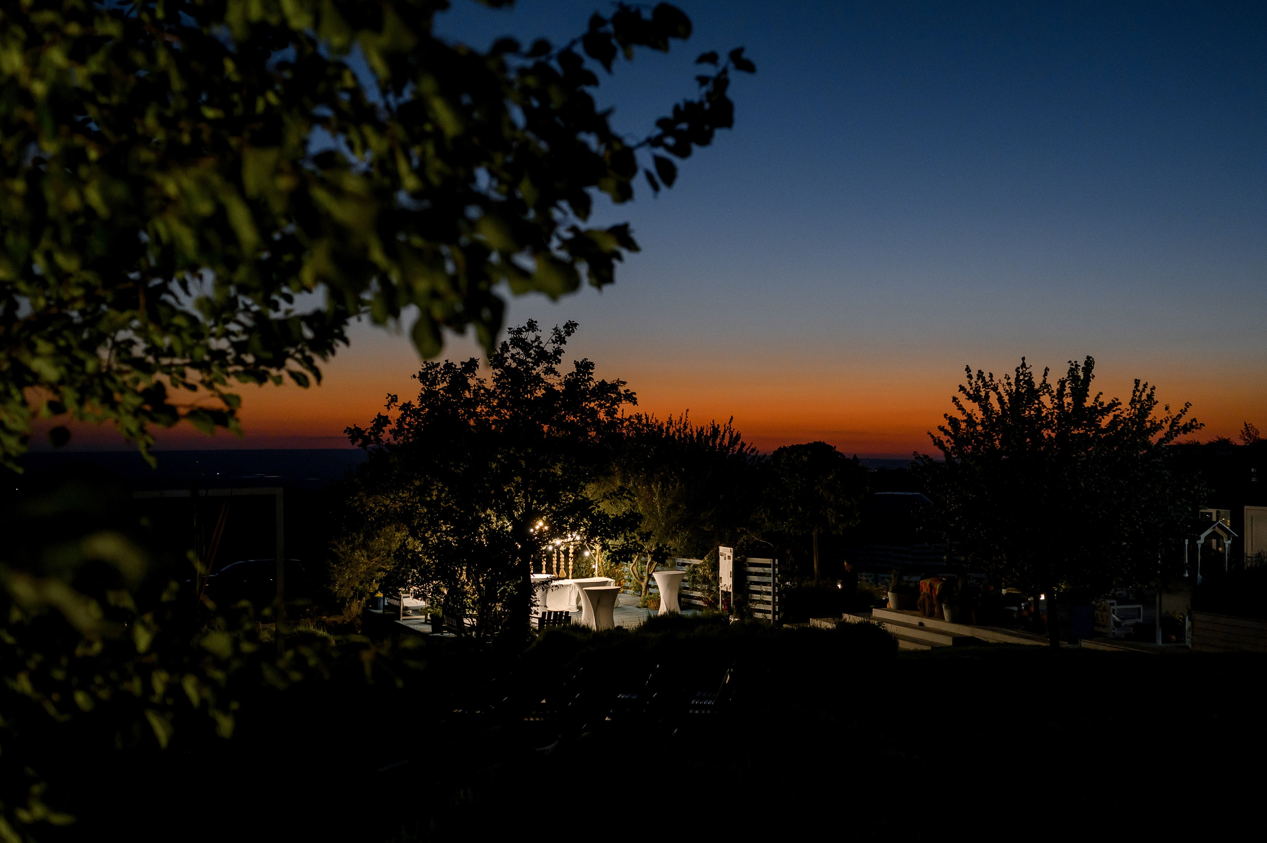 Свадьба Алекасндры и Александра. Свадебный и семейный фотограф в Ставрополе Роман Иванов