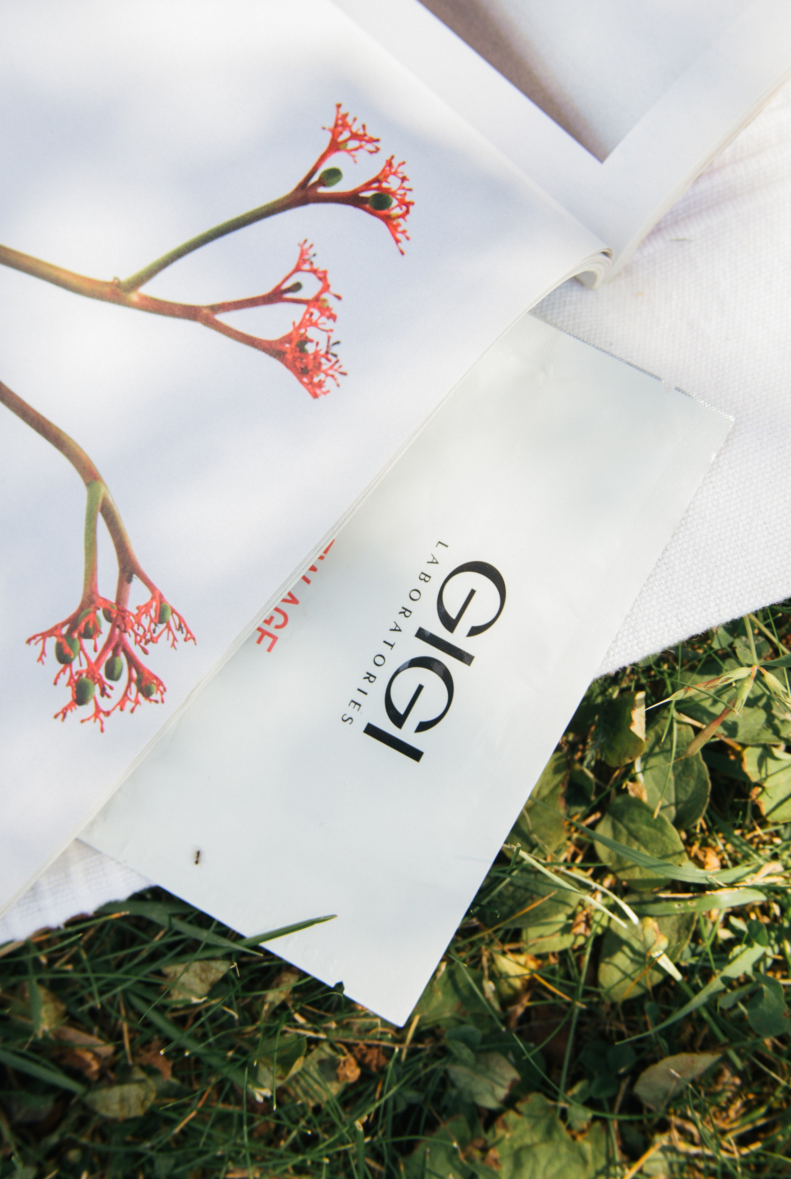 Проект для косметического бренда GIGI. Коммерческий фотограф в Москве, Наталия Горячева