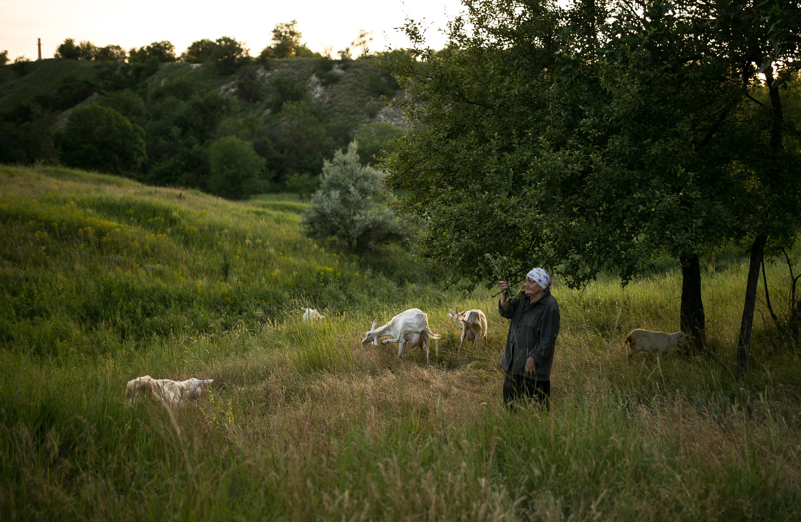 Виталина, Валентин и Тихон