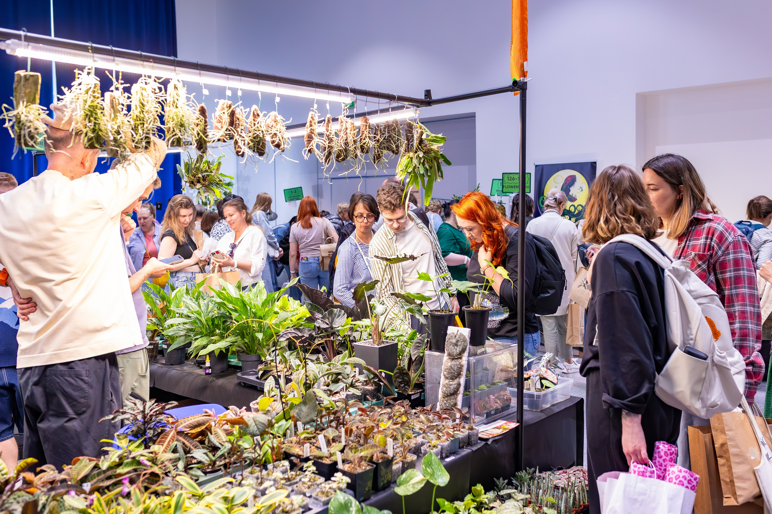 Орхидиум сентябрь 2025. Александра Куликова фотограф, Москва