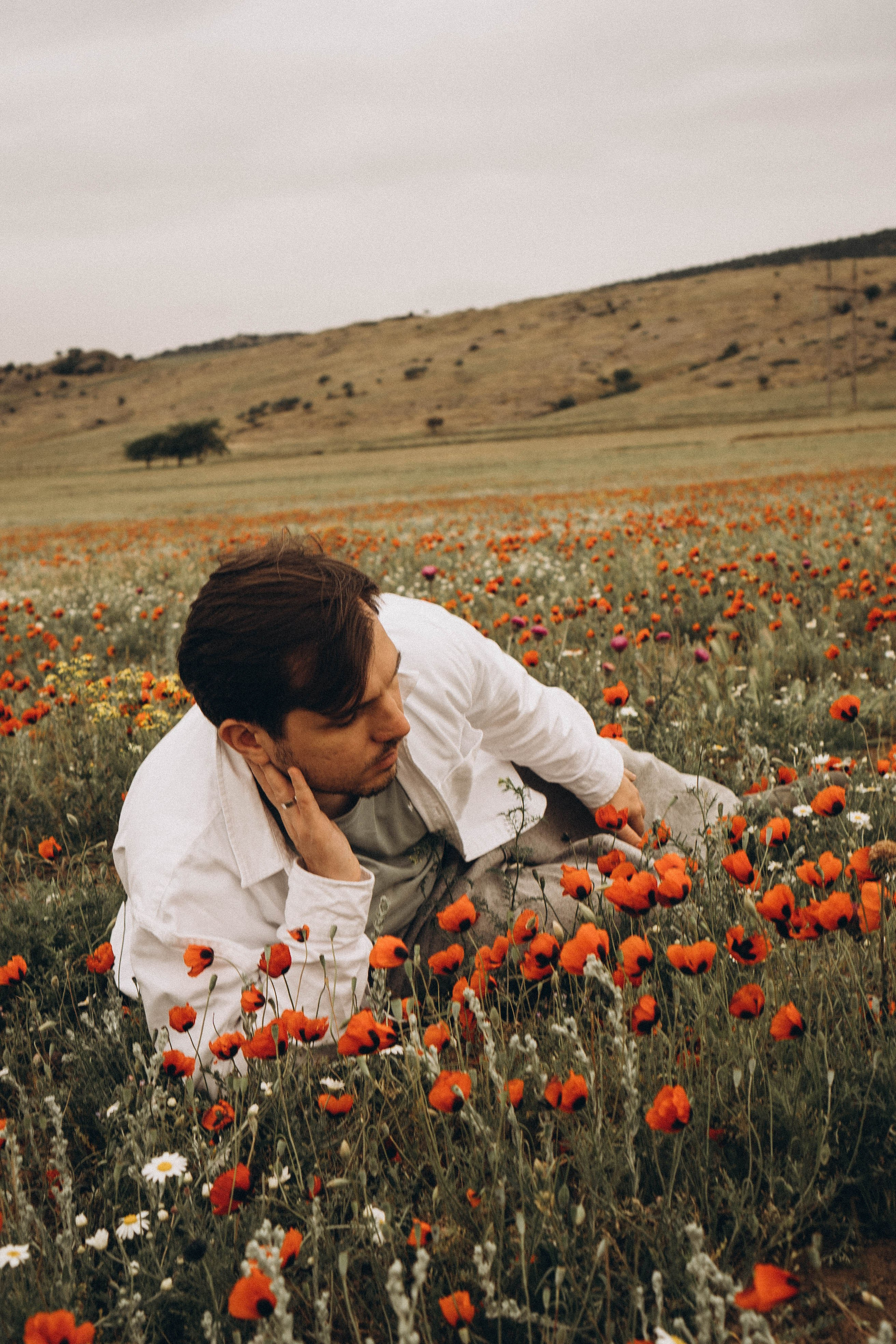 Маки. Профессиональный фотограф, Санкт-Петербург — Виктория Богомолова