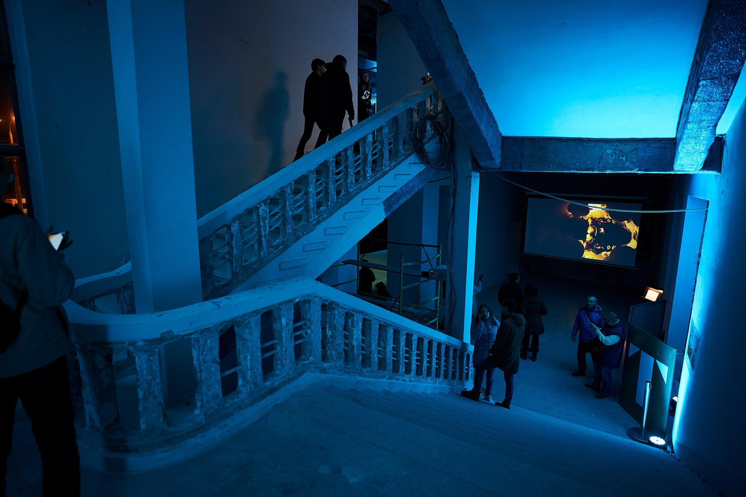 Открытие филиала Третьяковской Галереи. Фотограф Евгений Шаров