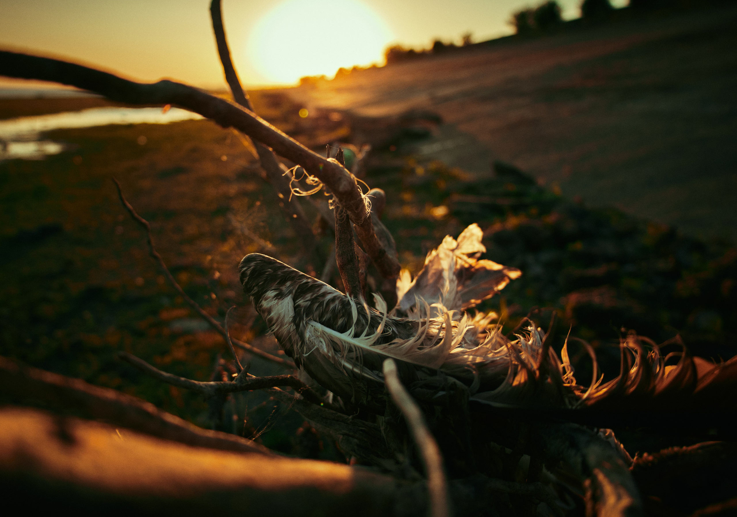 Пейзажи и уличная съёмка