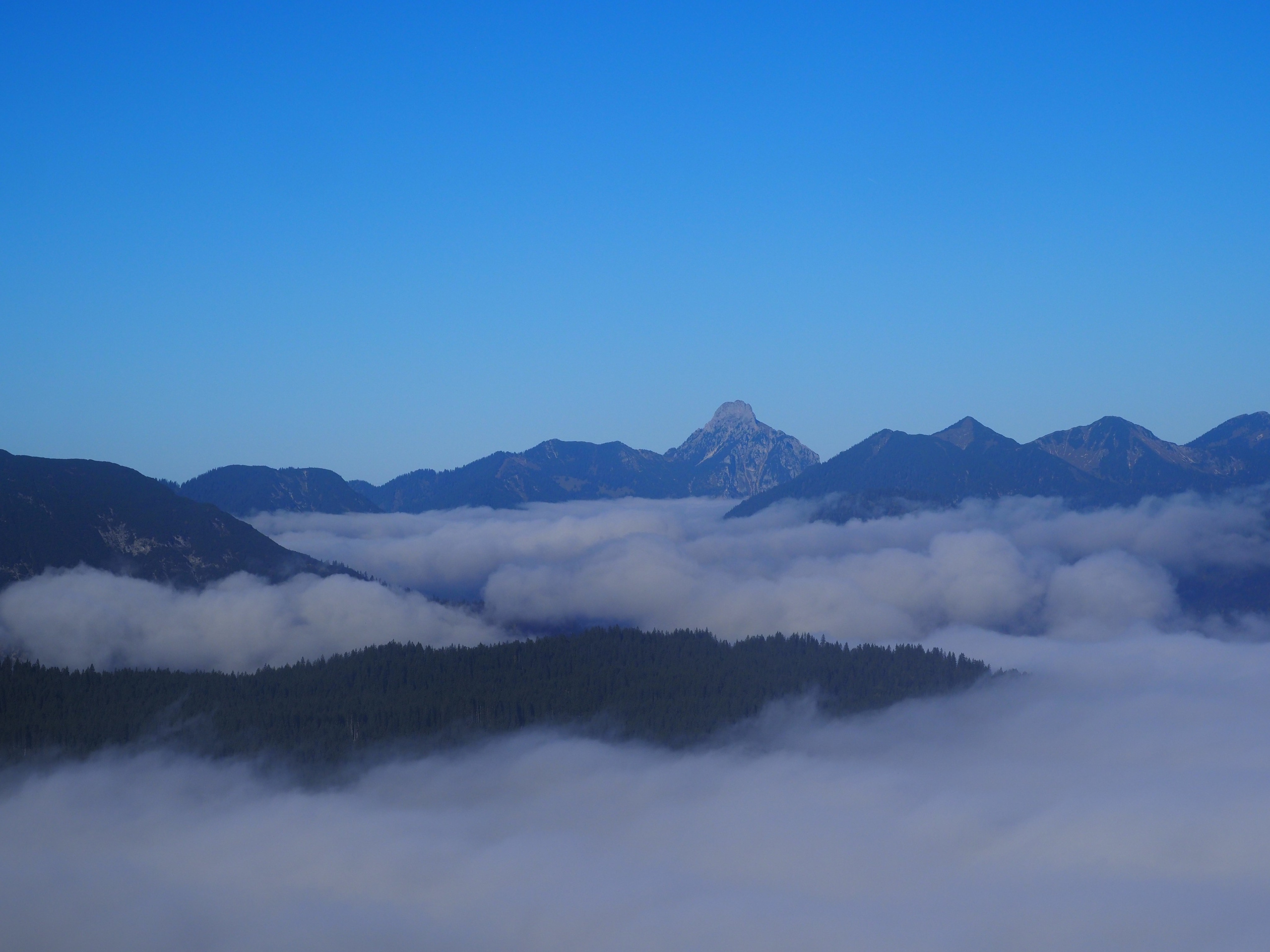 Природа. Семейный фотограф в Красноярске Лизоркина Вера