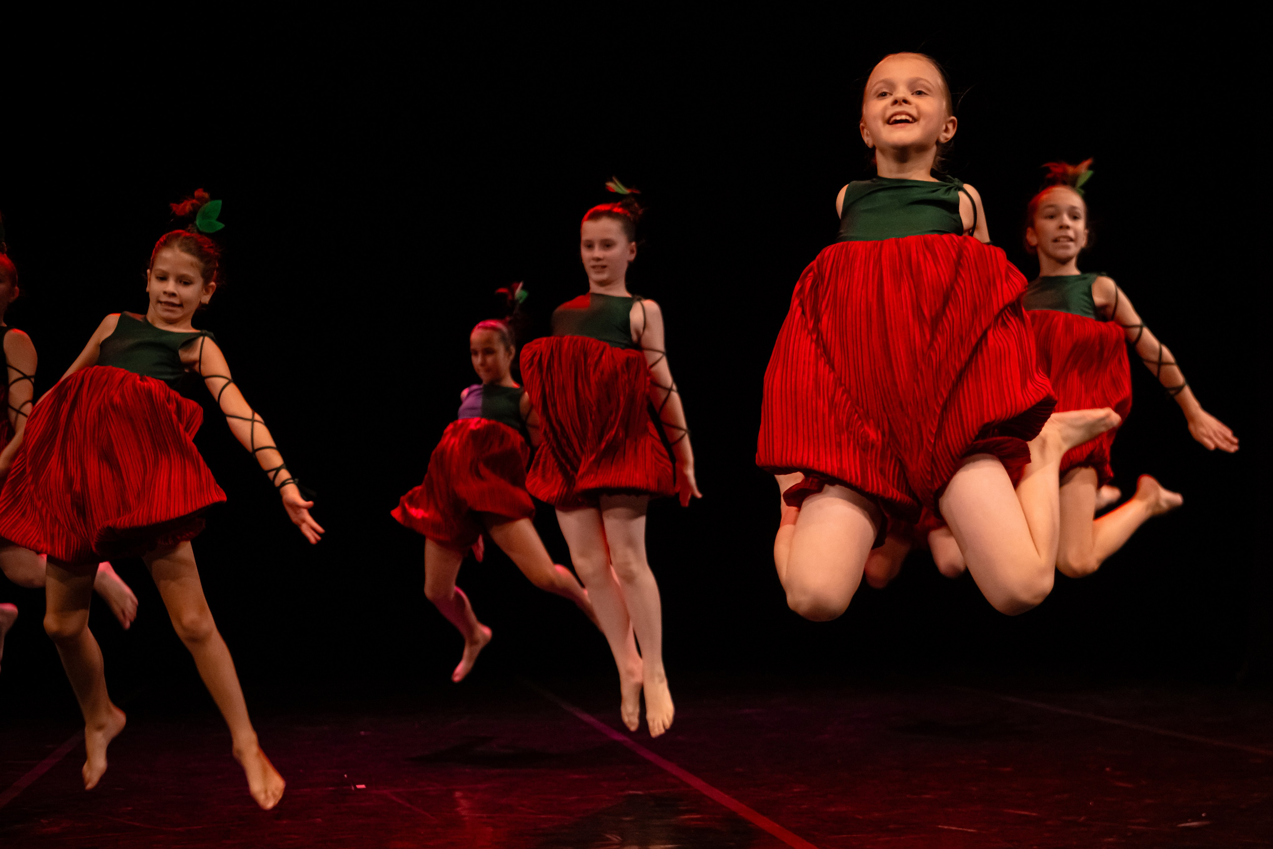 Зодиак. Семейный концерт. Репортажный фотограф в Санкт-Петербурге Алексеева Дарья