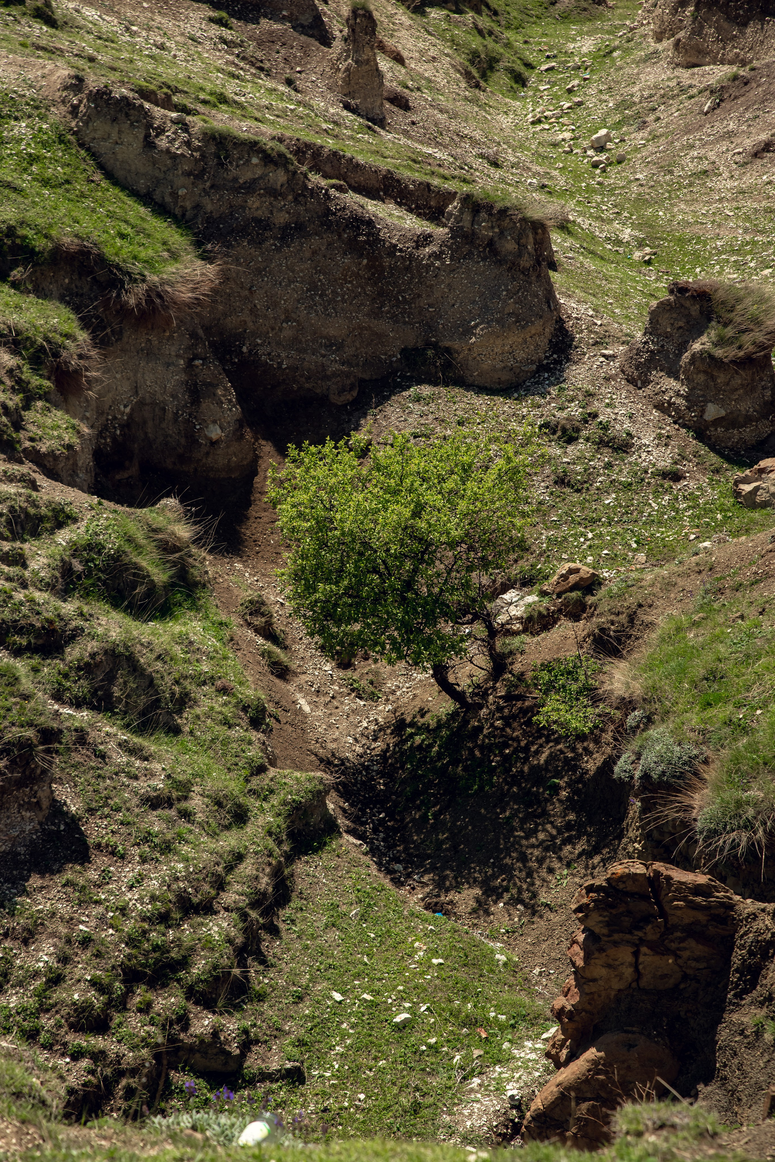 Дагестан. Фотограф Крещение Венчание Москва
