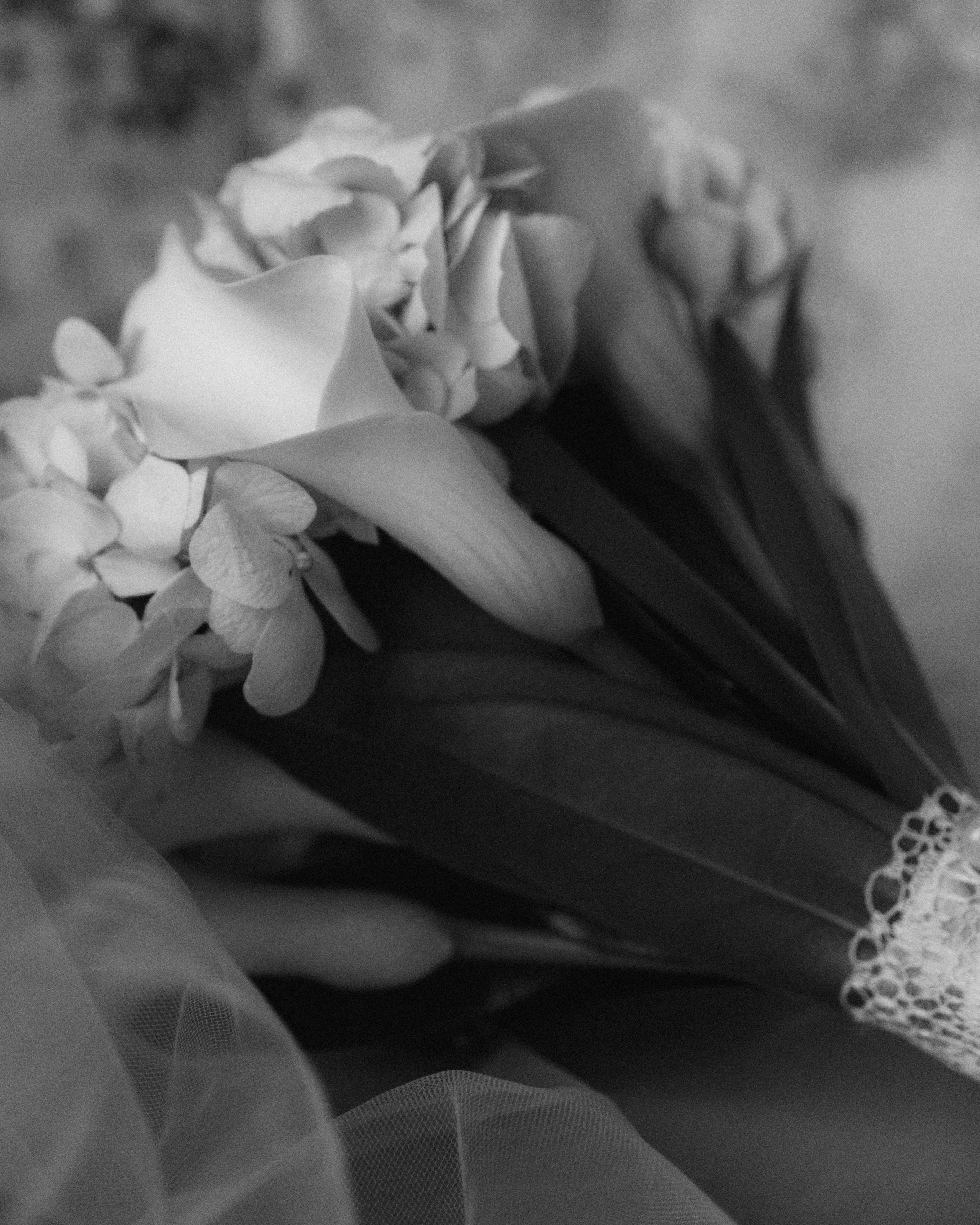 Wedding. Фотограф Khachatryan Syuzanna / Москва & Санкт-Петербург