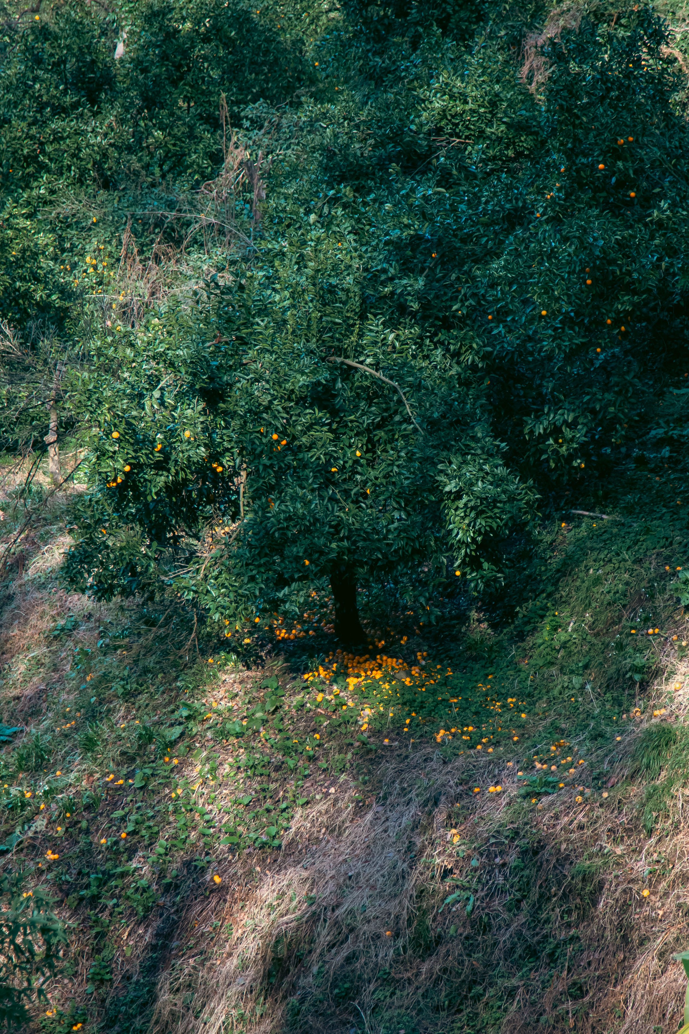 Batumi. Dmitriy [KCCC] is a pretty cool photographer