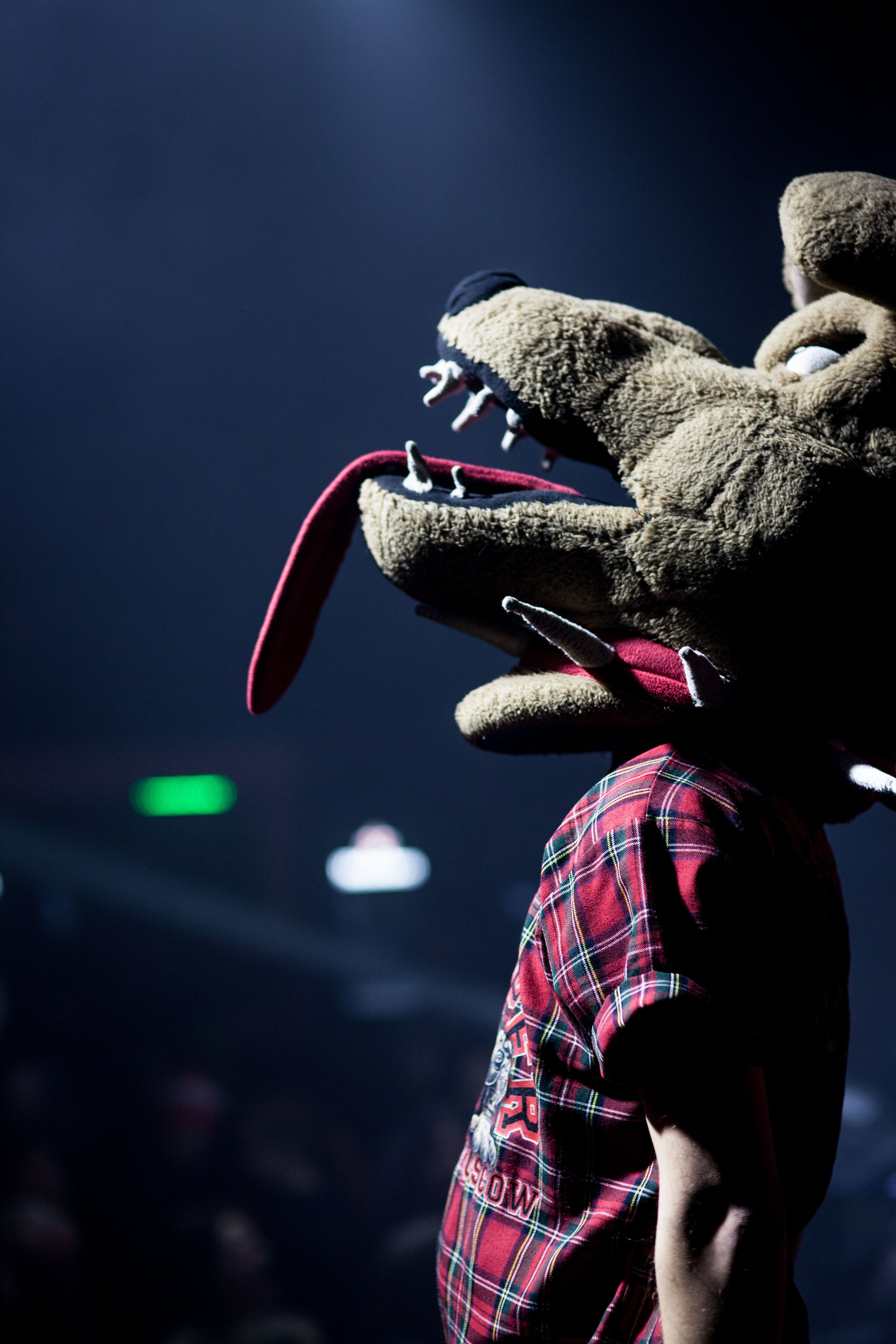 Distamper. Твой фотограф — Полосатый кот