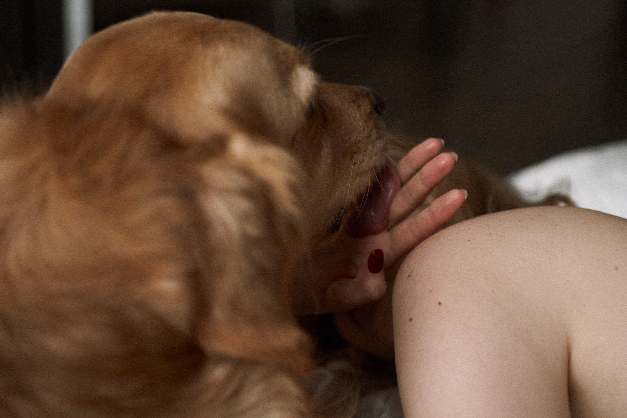 Алия и Пенни. Фотограф анималист Москва Дарья