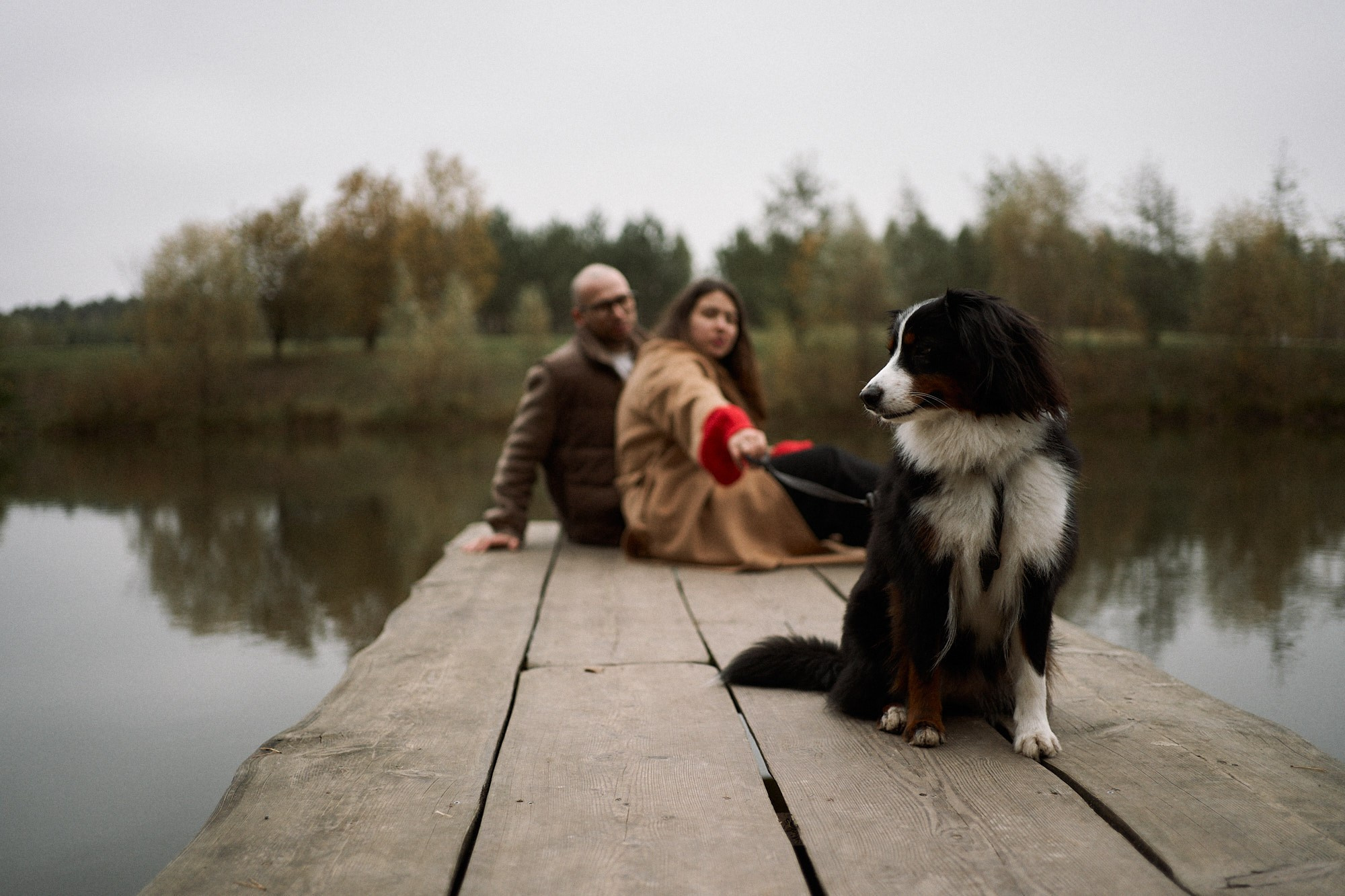 Осенью любить. Фотограф анималист Москва Дарья