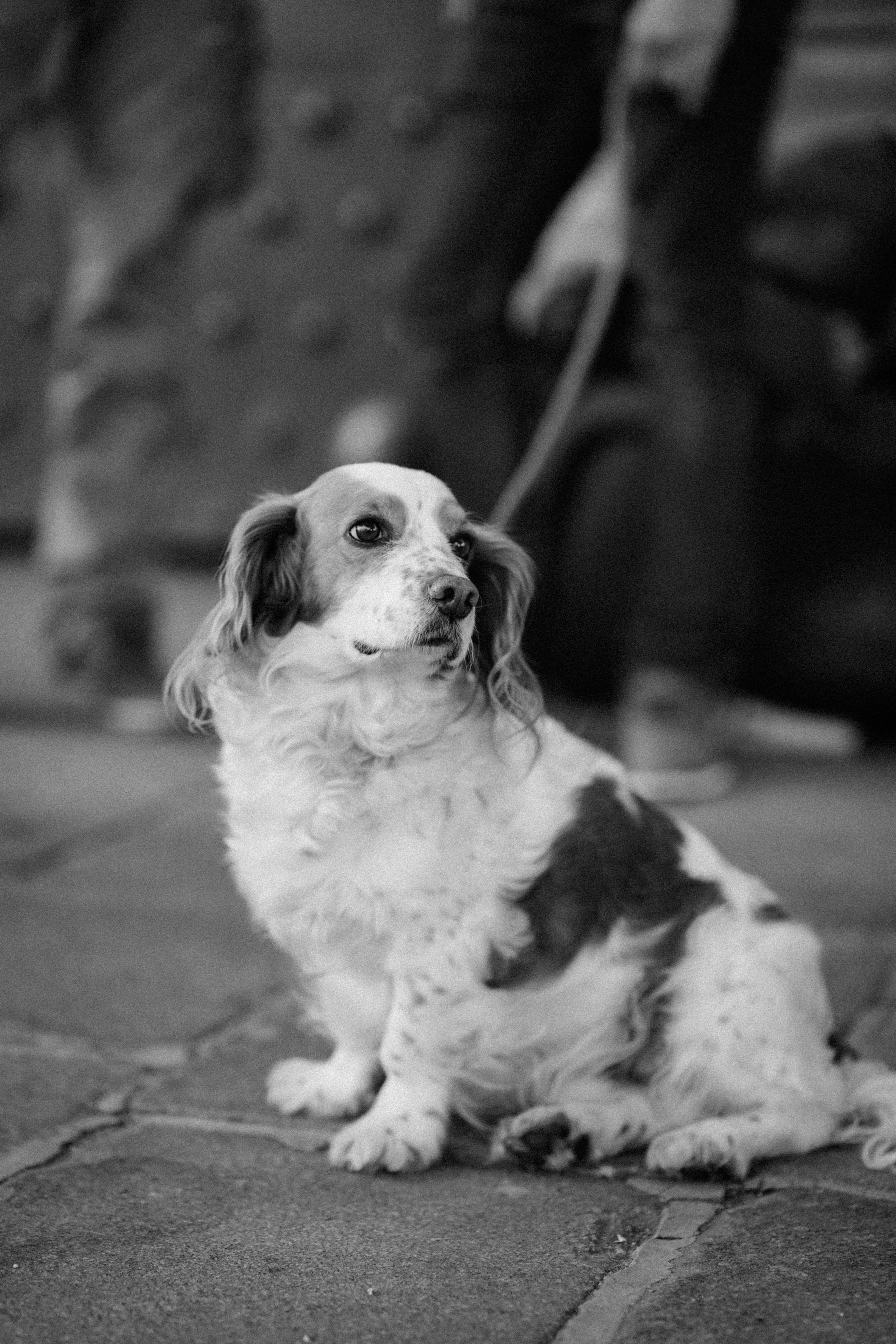 Nina (OPEN). Photographer Yudakova Daria