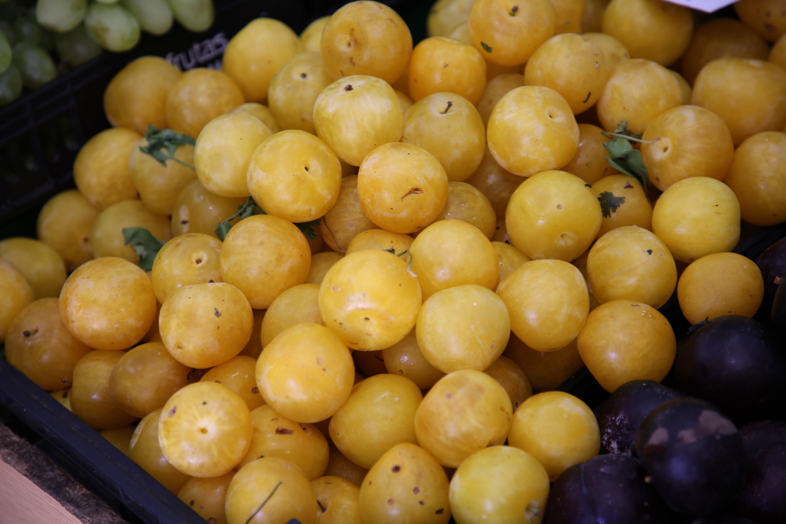 Lisbon, Portugal. Andrey Filippov Photographer