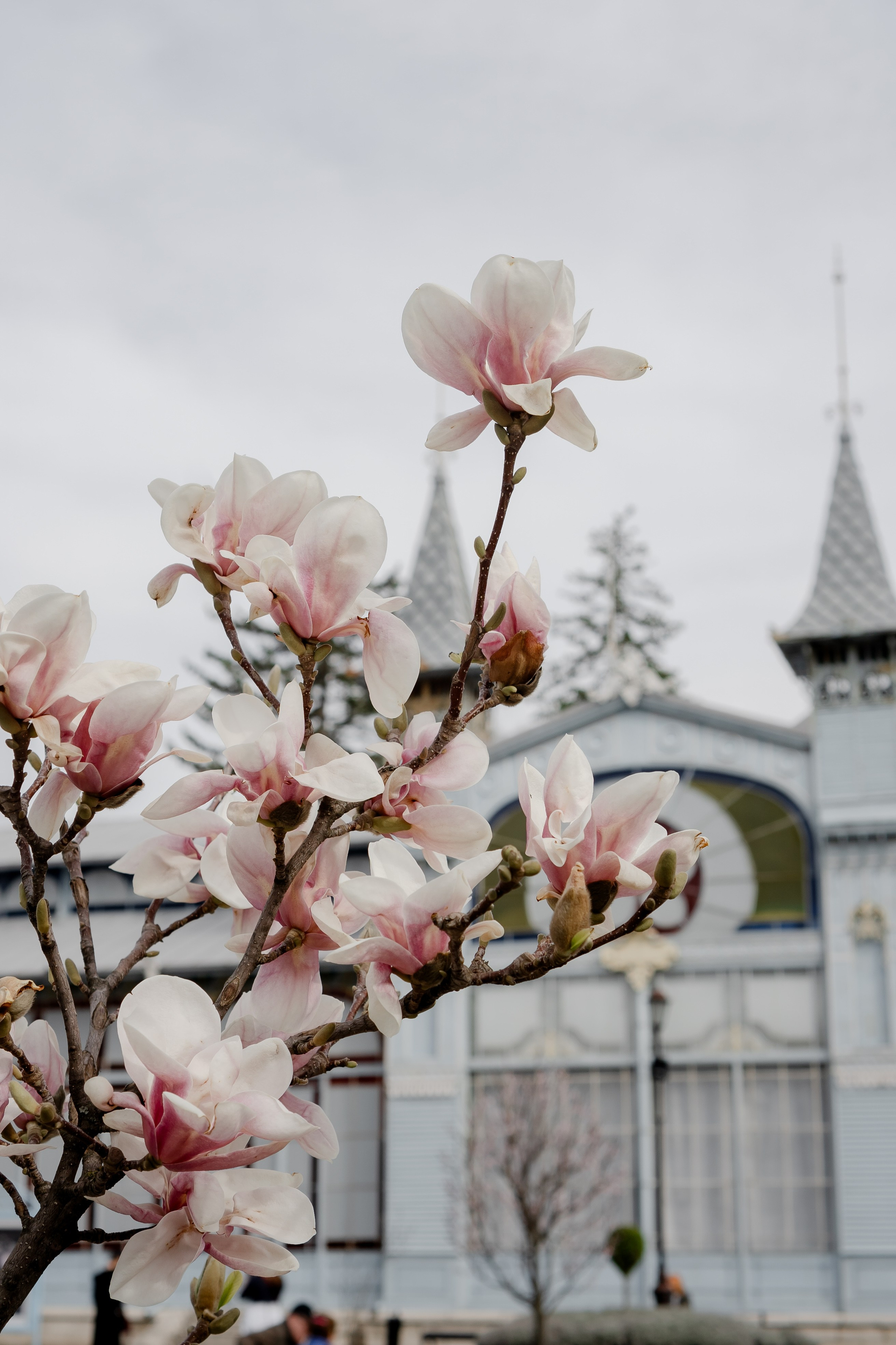ПЯТИГОРСК. Профессиональный фотограф, Санкт-Петербург — Виктория Богомолова
