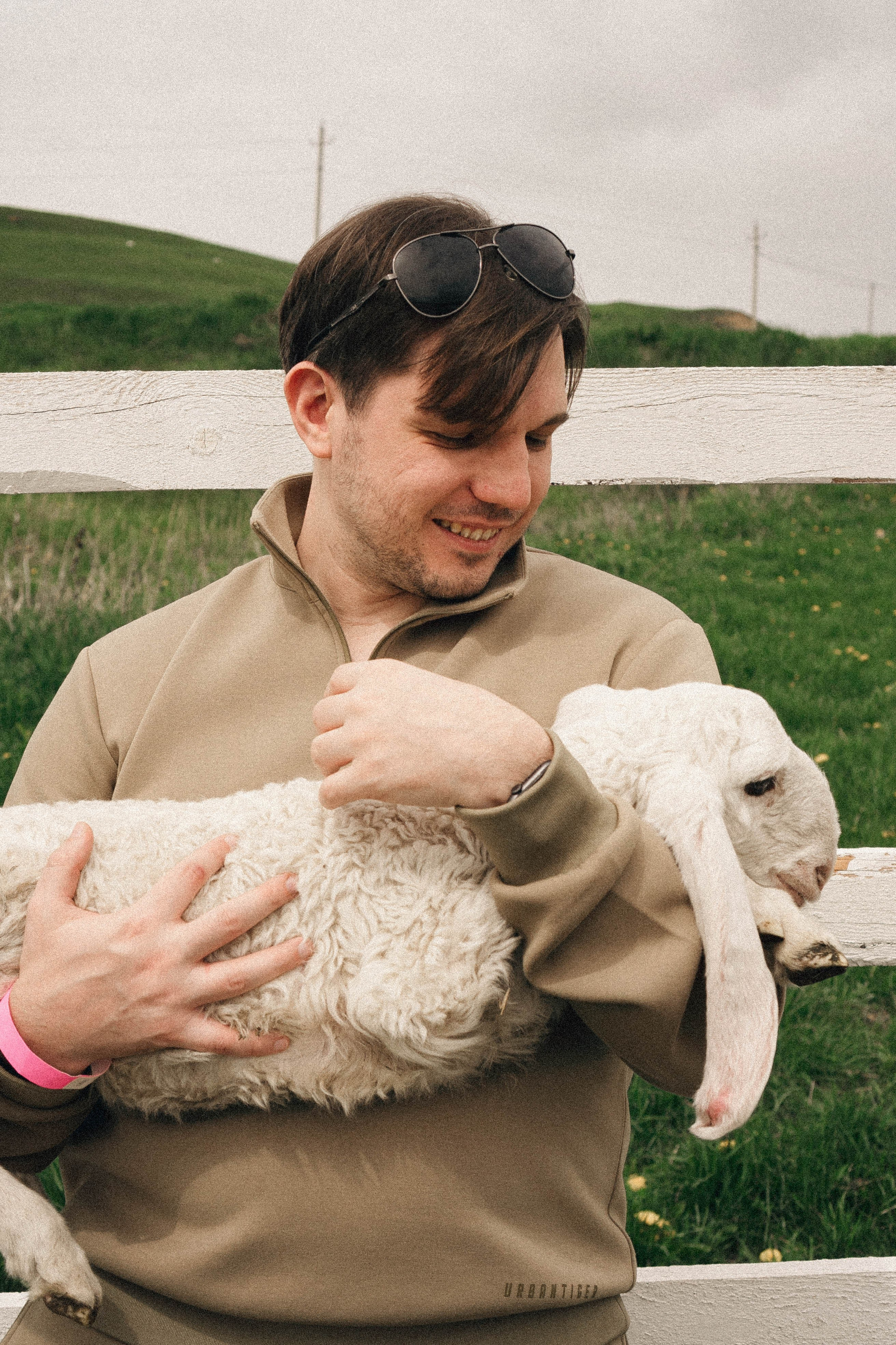 Ферма Альпак. Профессиональный фотограф, Санкт-Петербург — Виктория Богомолова