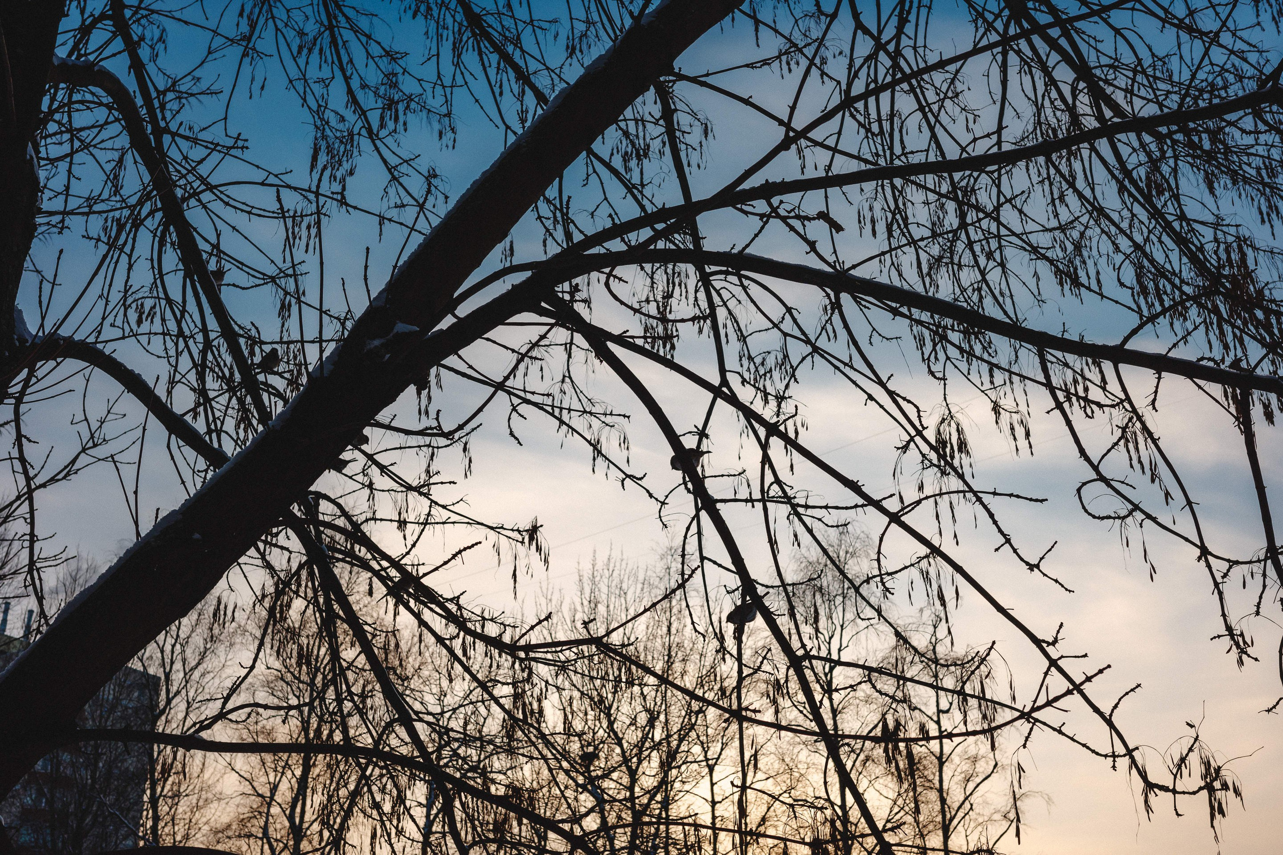 2023.11. Фотограф Алексей Алексеев