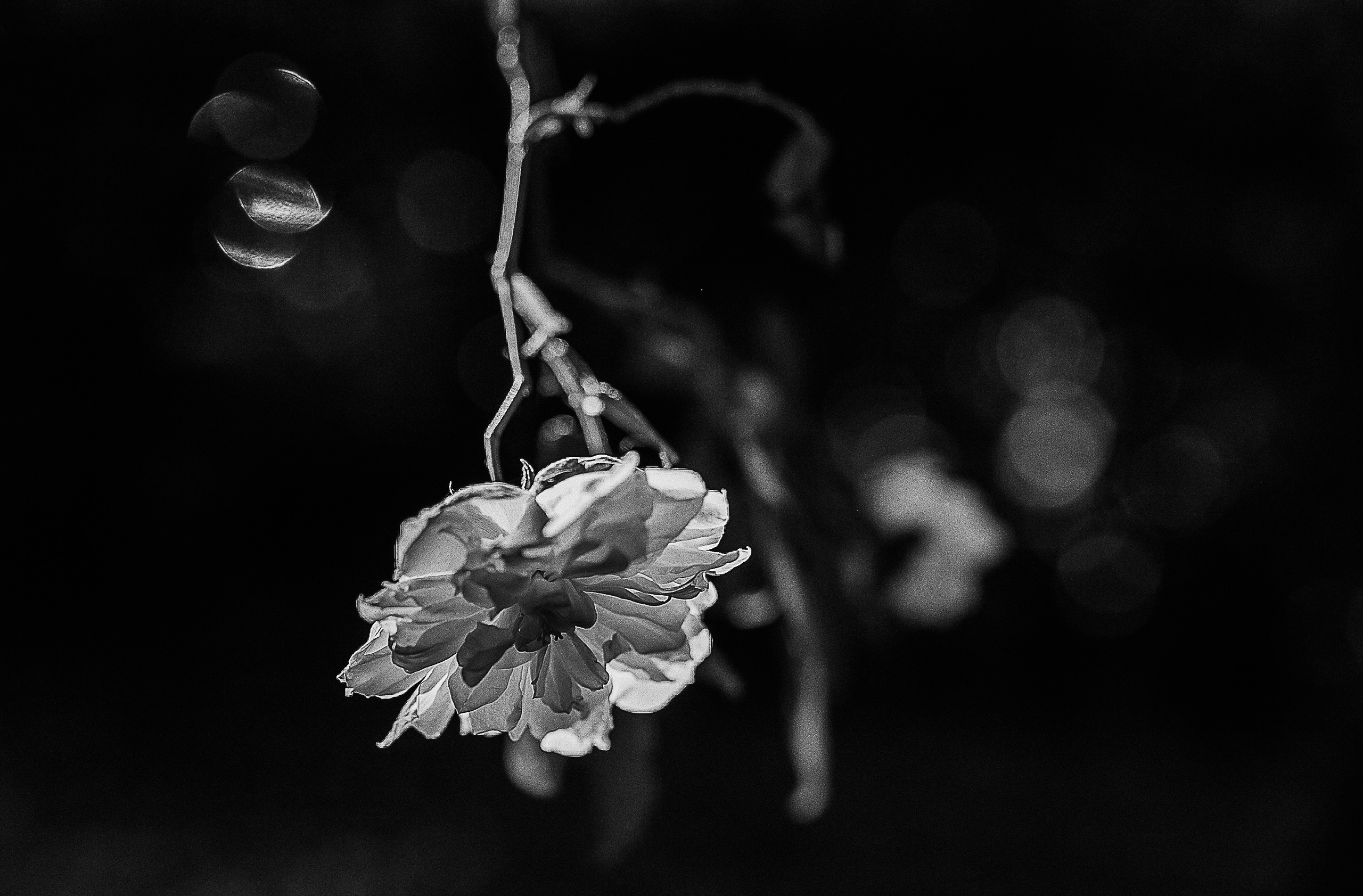 Ливадия (Кипр) Саша и Маша. Главная