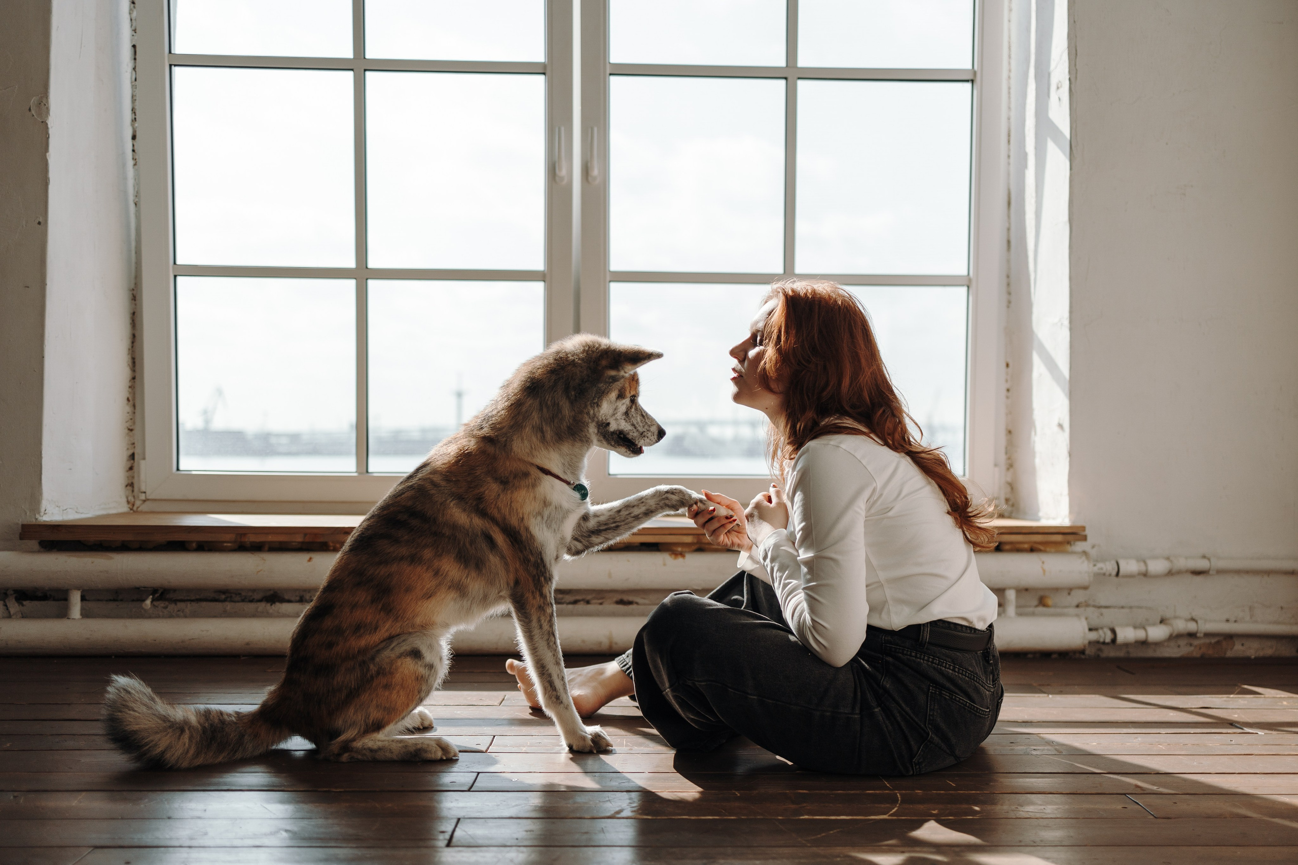 Настя и Айри. Фотограф — Анималист | Санкт-Петербург