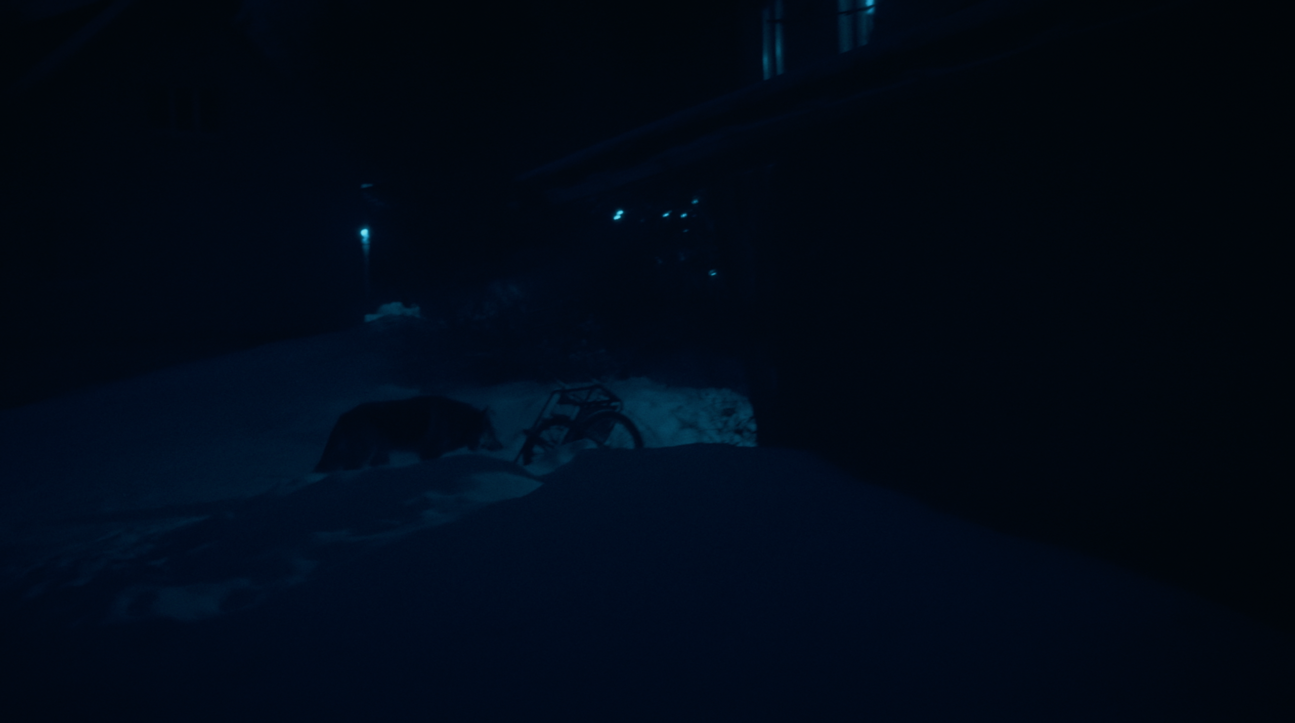 If you become human, who will swim for you. Tokcolor