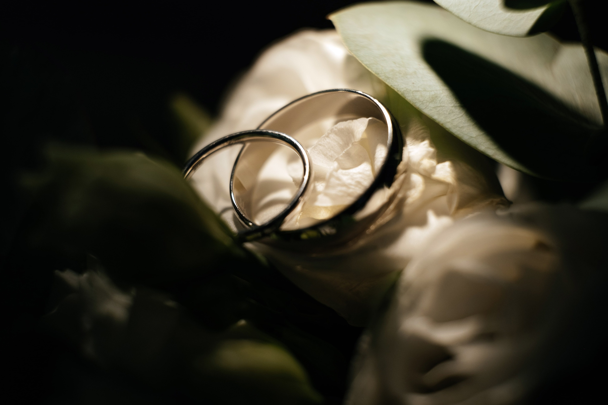 Вячеслав и Анна. Свадебный и семейный фотограф Москва, Звенигород, Одинцово, Можайск,