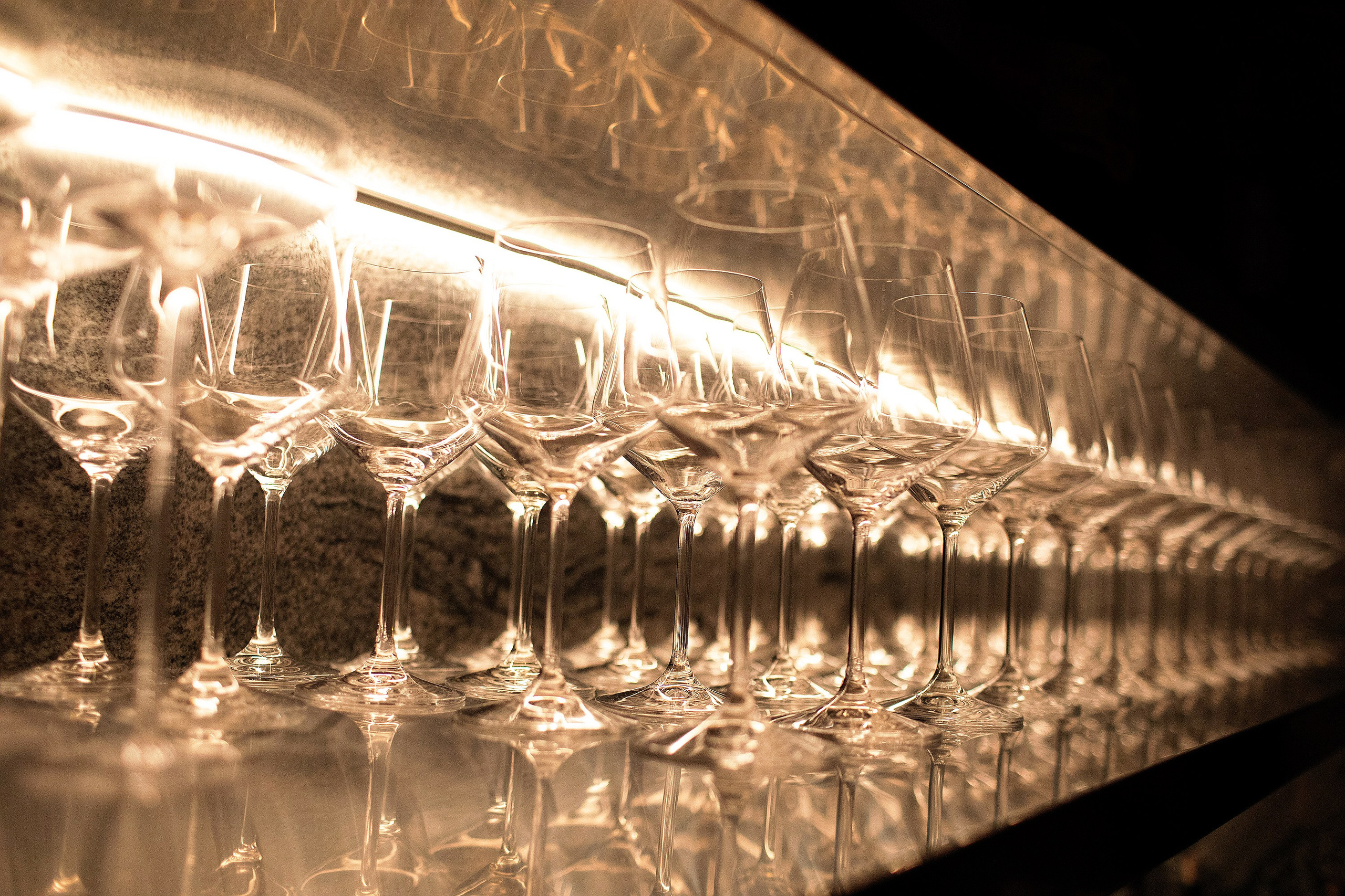 Гала-ужин Siro. Кристина Шнайдер репортажный фотограф Алматы