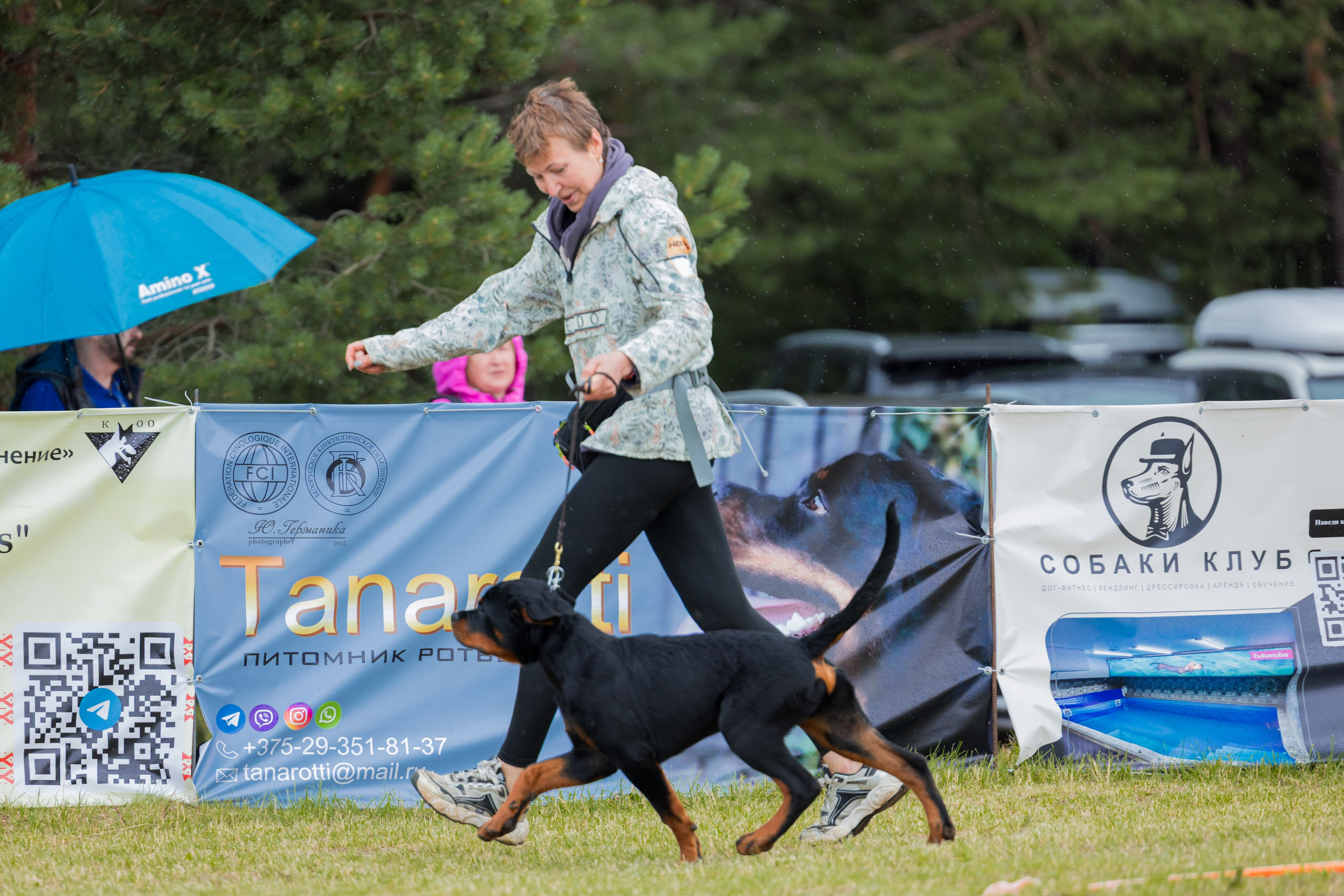 Тверь ротвейлеры 5-6.07.2025. Фотограф-анималист Юлия Германика