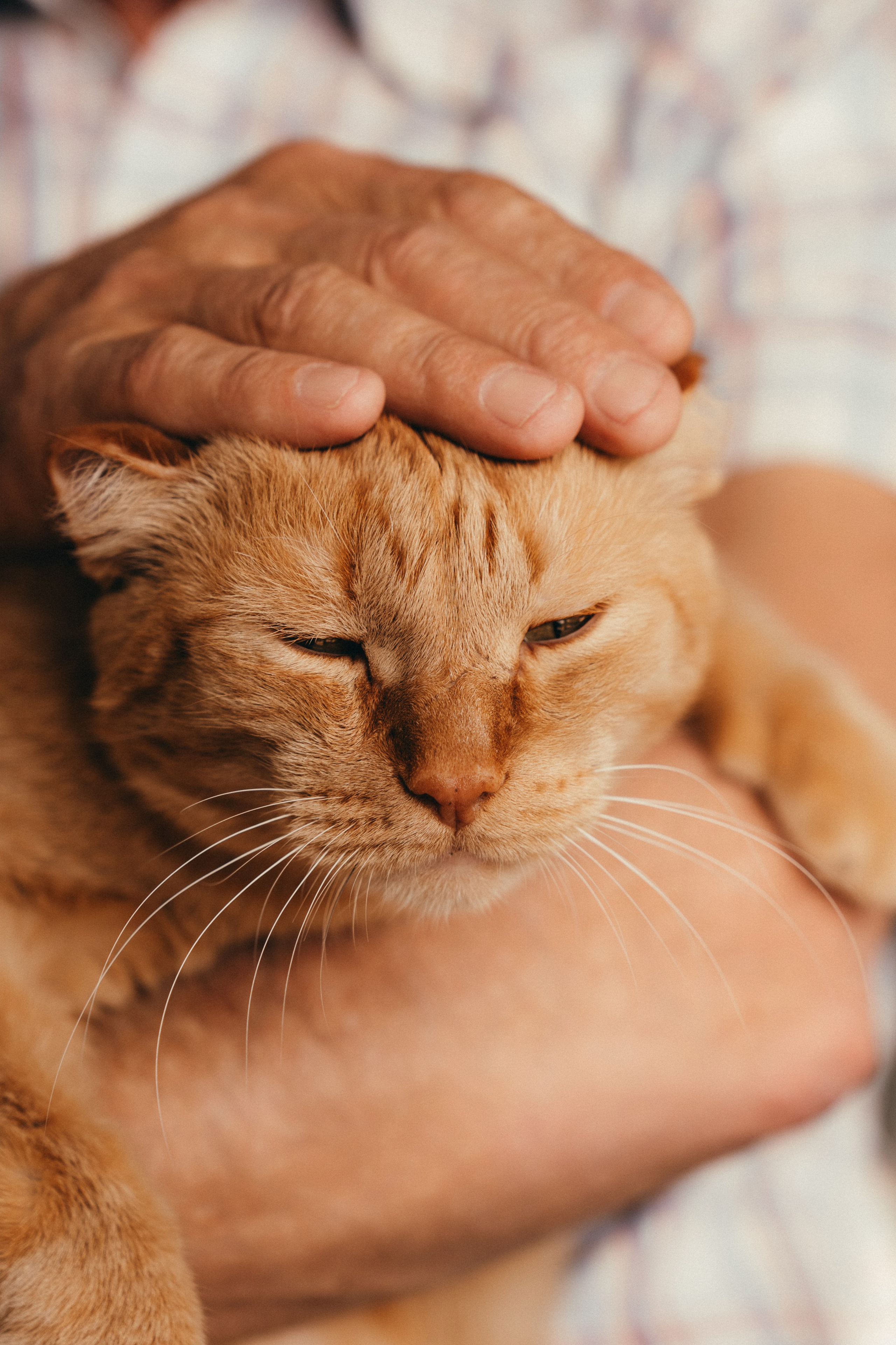 Ирина и Вера. Семейный фотограф • Домашние съемки в Нижнем Новгороде