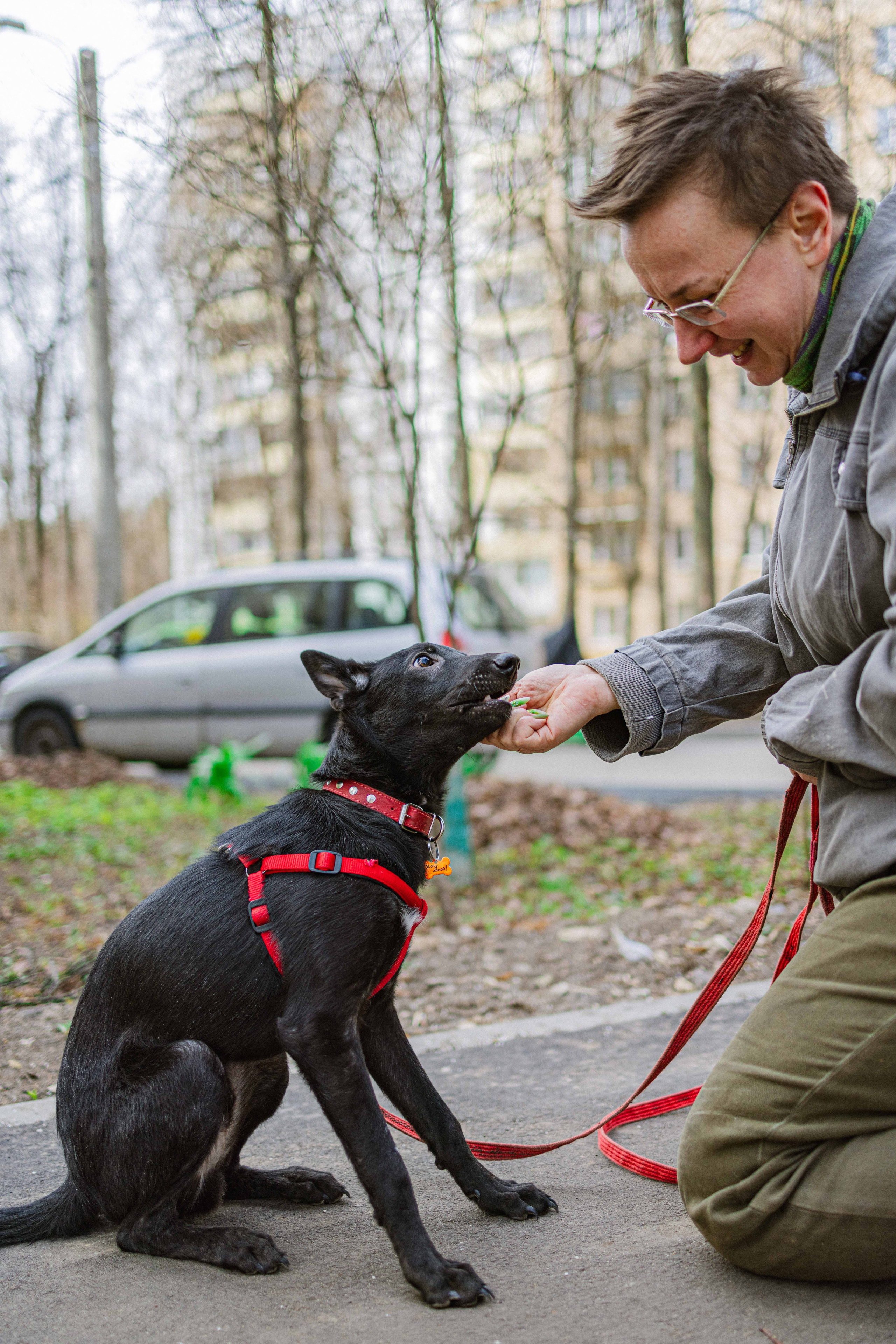 Булька. Фотограф-анималист в Москве Лера Черноног