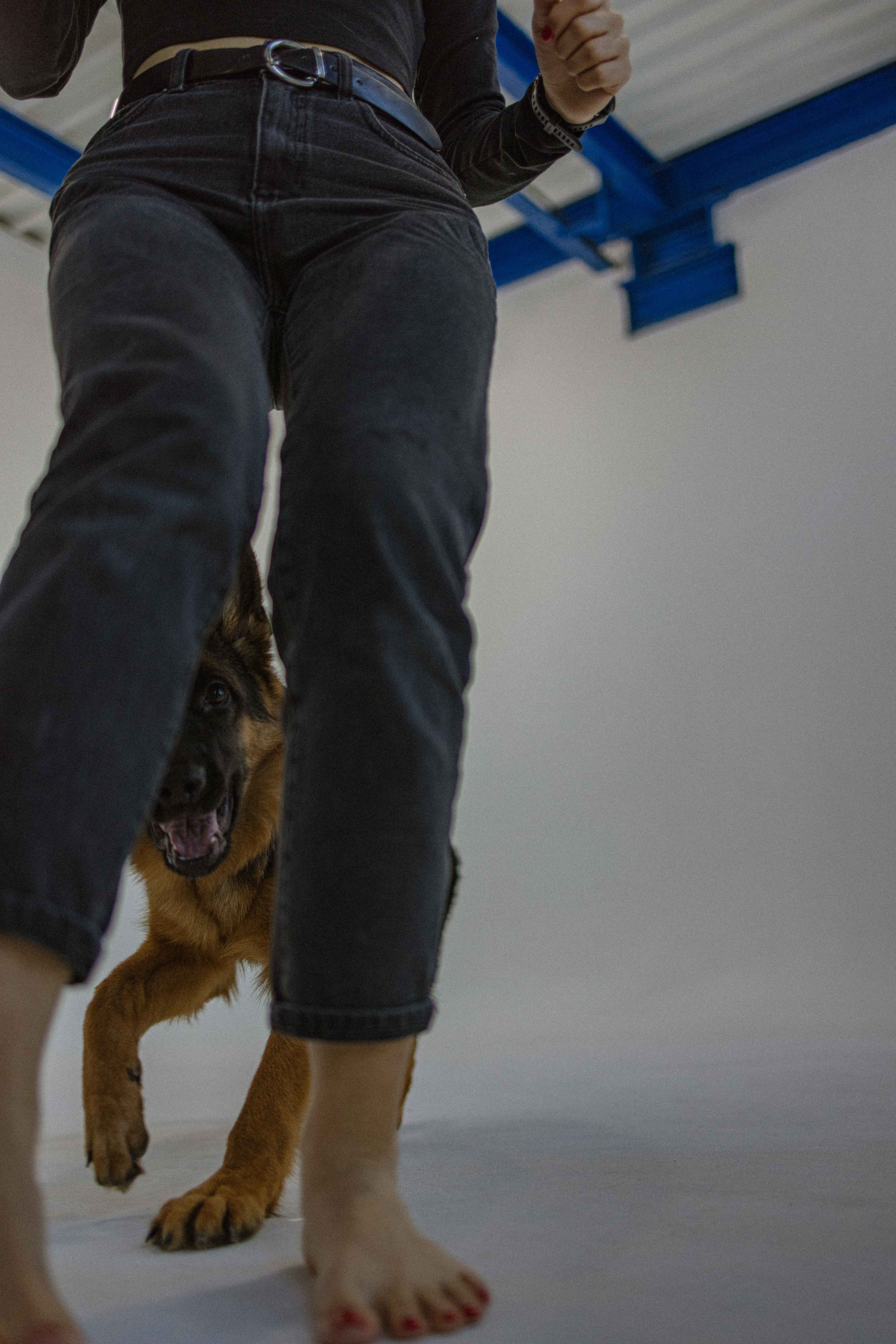 Ася и Буся. Фотограф-анималист в Москве Лера Черноног