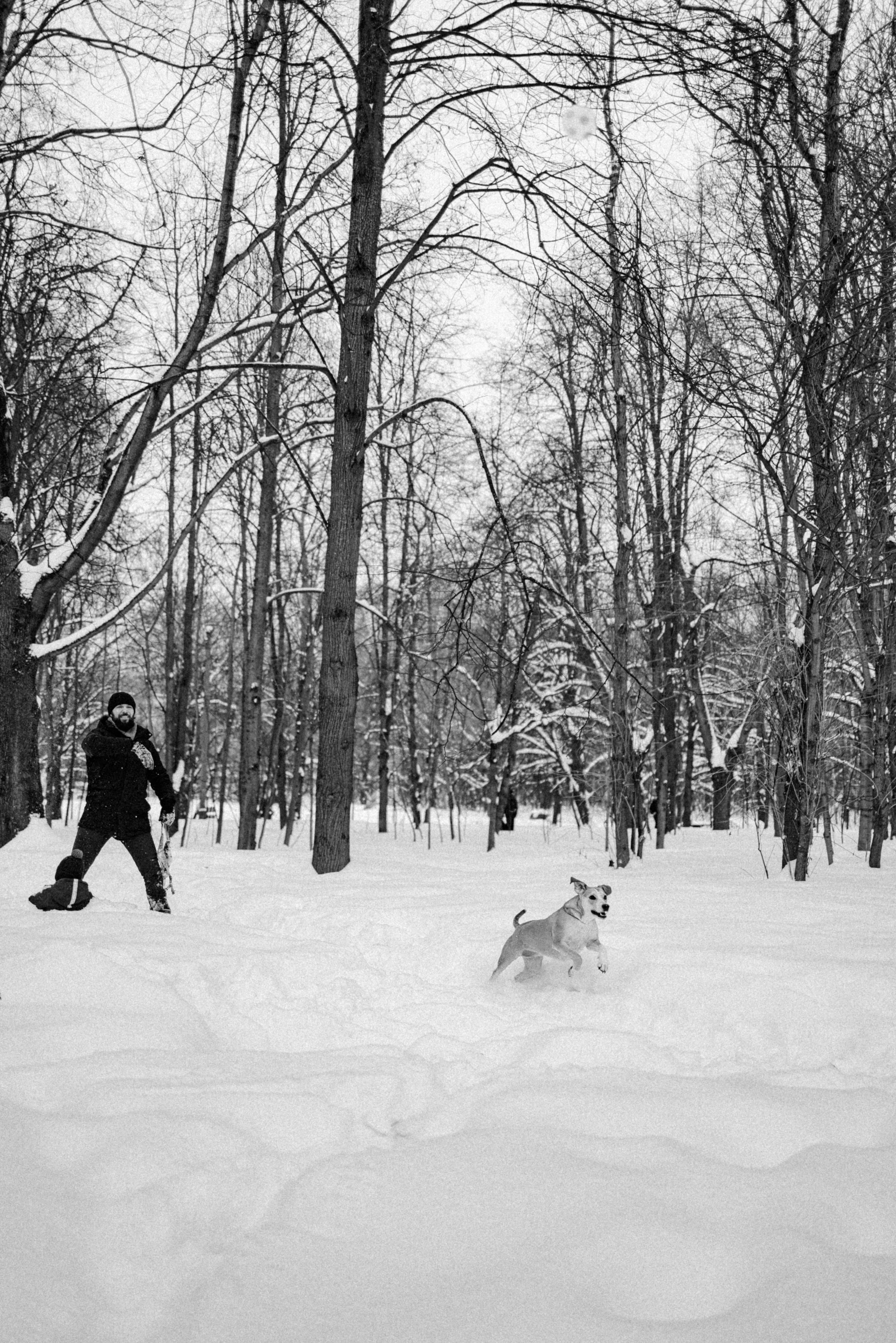 Свобода и ее семья. Фотограф-анималист в Москве Лера Черноног