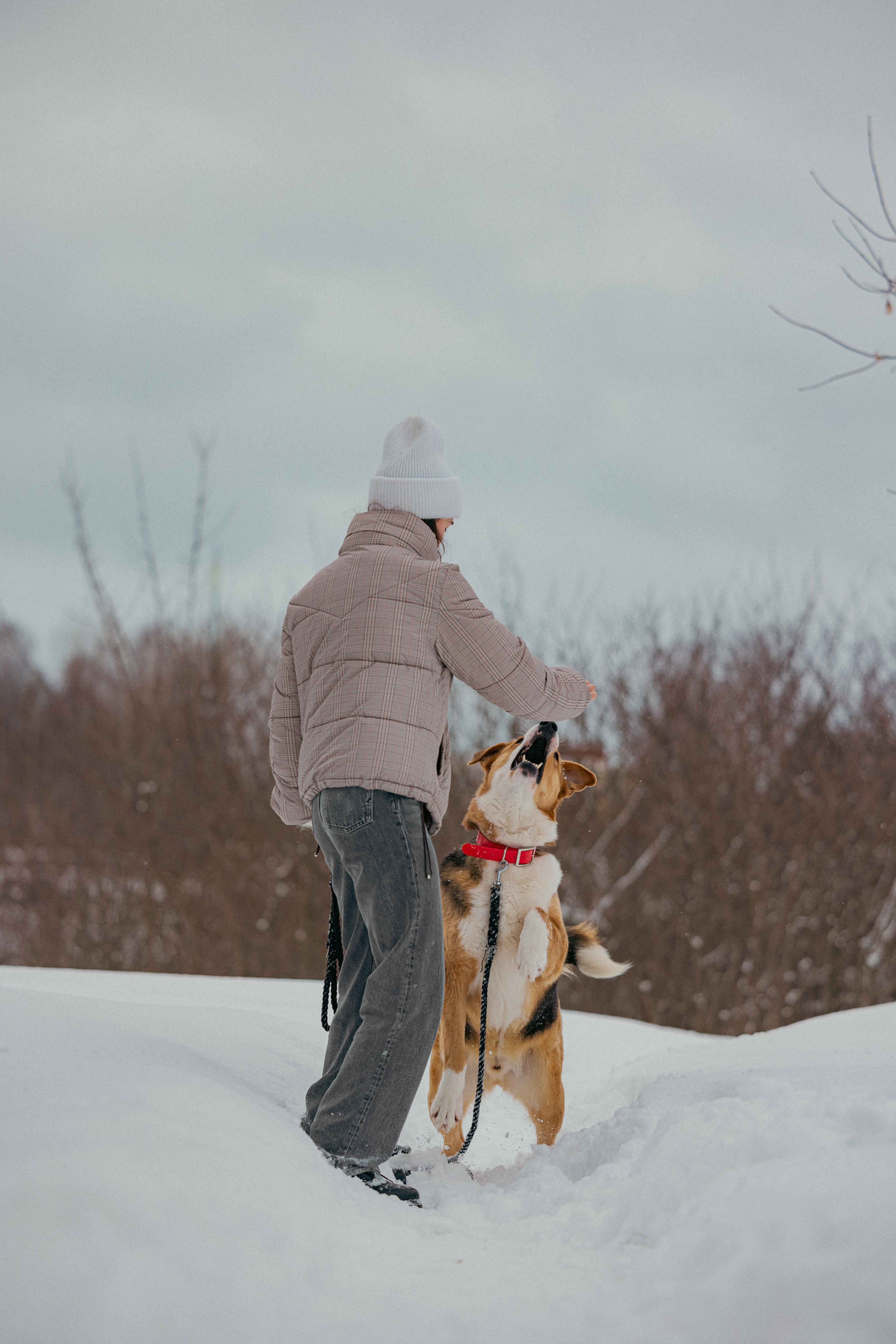 Петя. Фотограф-анималист в Москве Лера Черноног