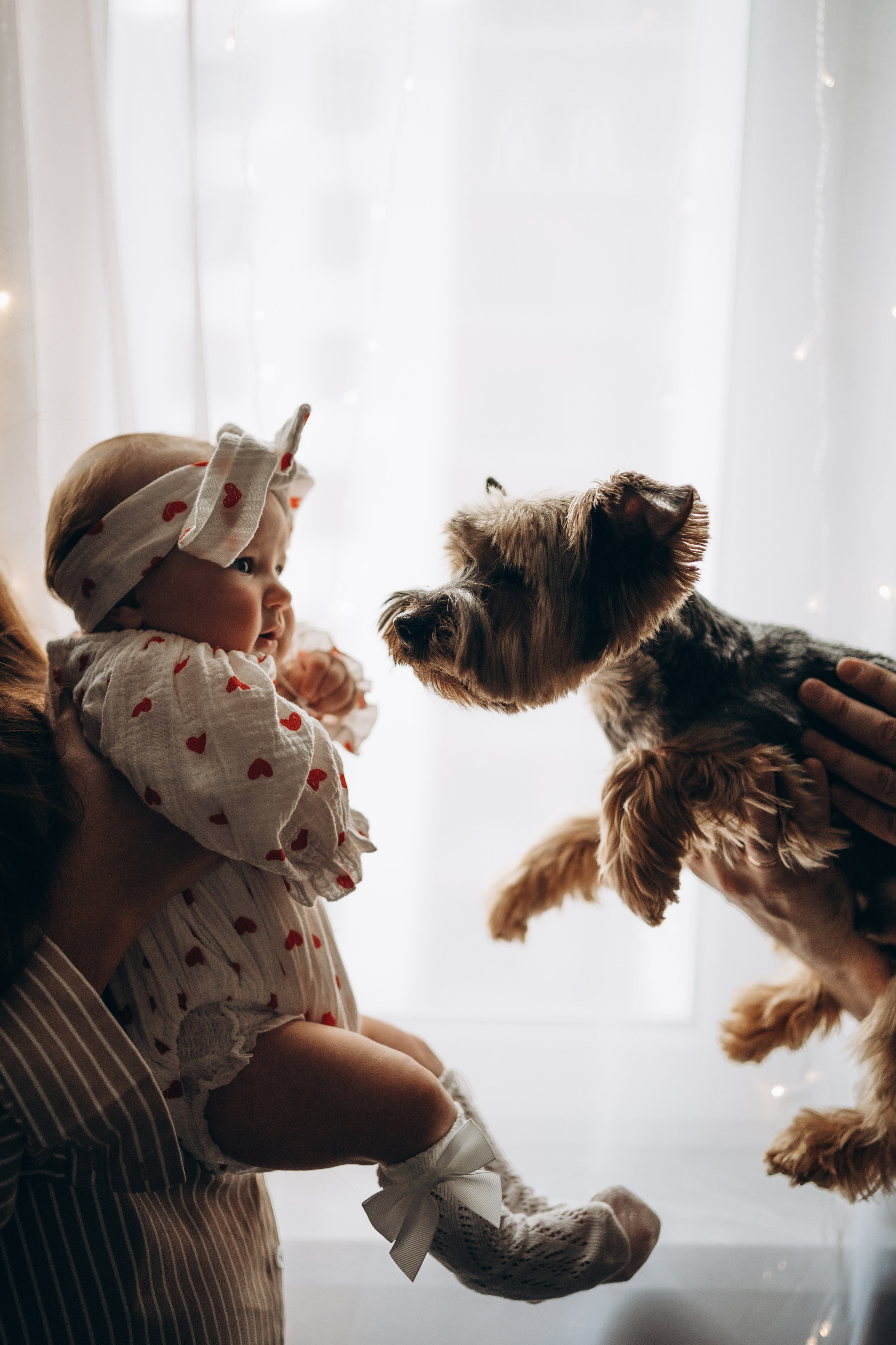 Ребенок и собака на фоне окна дома