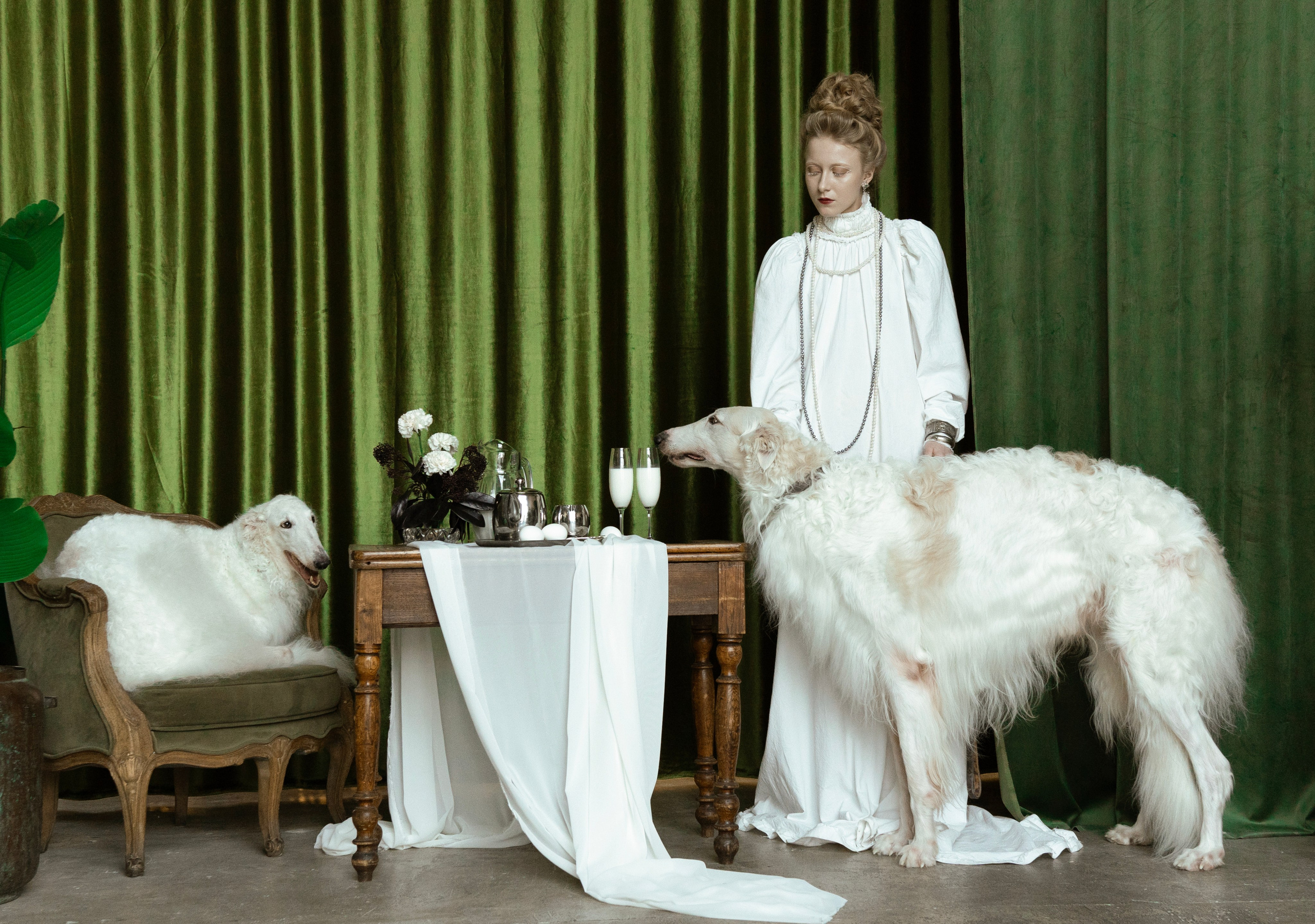 Персональная женская фотосессия в студии. Студийная фотосъёмка. Фотосессия с борзыми. Стиль 19 века.